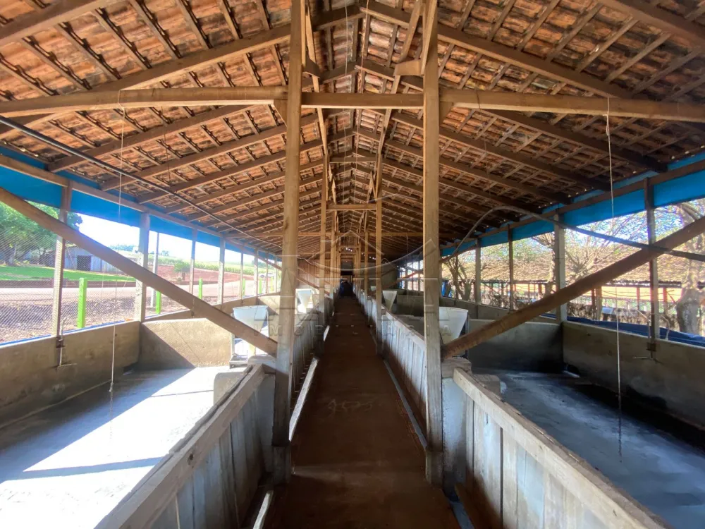 Comprar Rural / Ch&aacute;cara com Casa em Toledo R$ 2.300.000,00 - Foto 10