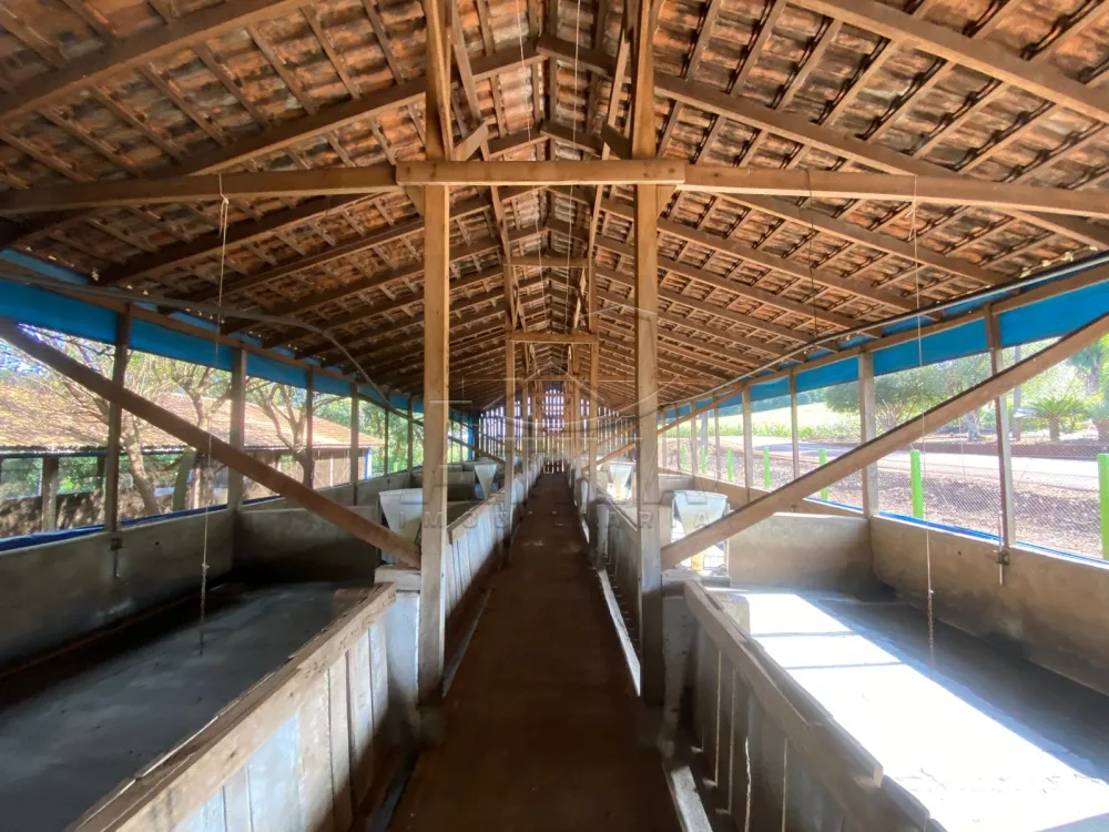 Comprar Rural / Ch&aacute;cara com Casa em Toledo R$ 2.300.000,00 - Foto 9