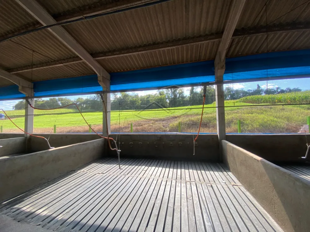 Comprar Rural / Ch&aacute;cara com Casa em Toledo R$ 2.300.000,00 - Foto 7