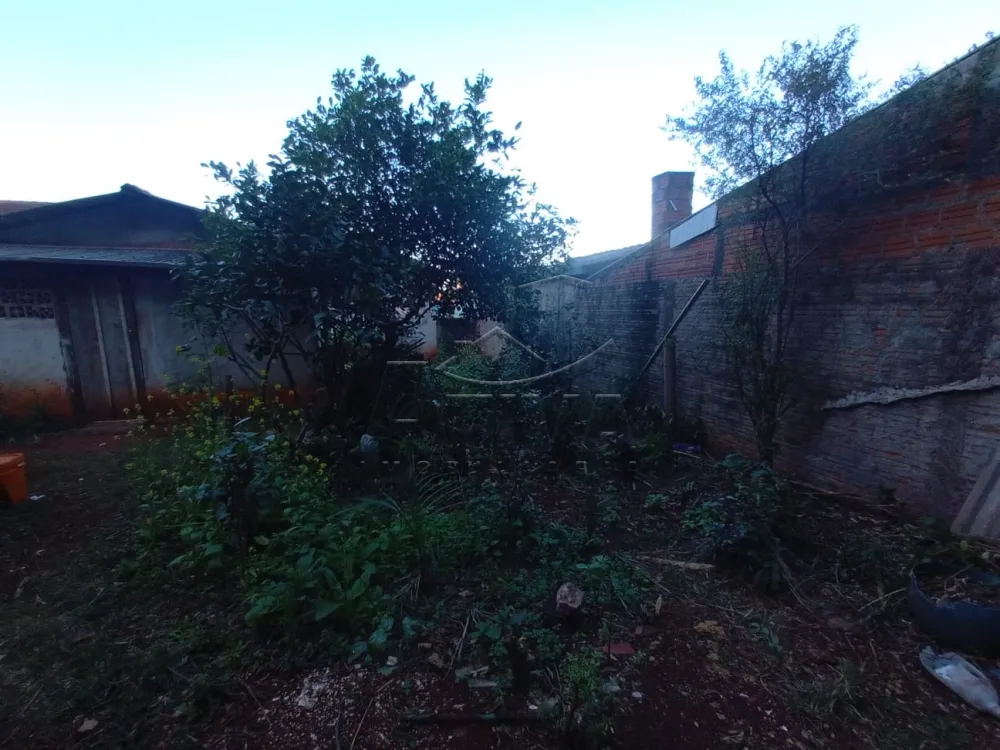 Comprar Casa / Padr&atilde;o em Toledo R$ 335.000,00 - Foto 13