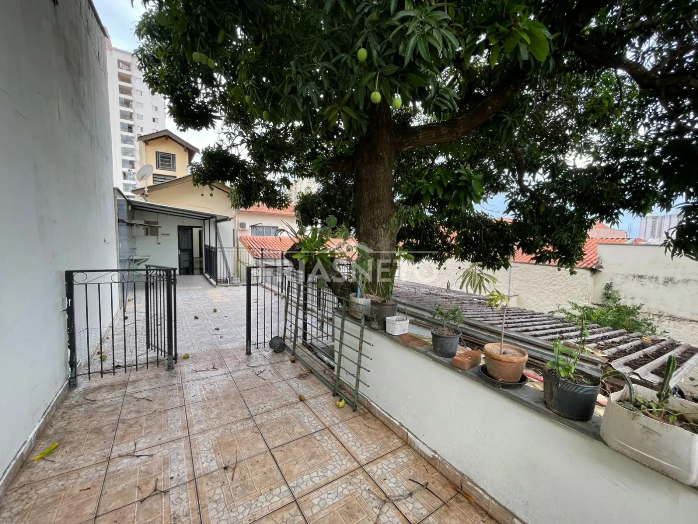Alugar Residencial / Casa em Piracicaba R$ 3.100,00 - Foto 44