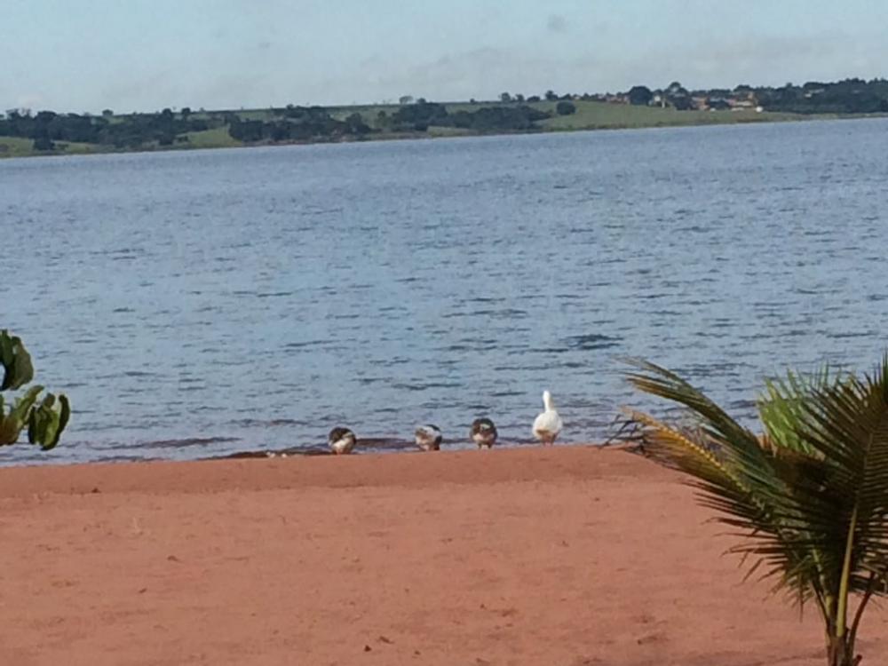 Sítio, 3 quartos, 5 hectares - Foto 7