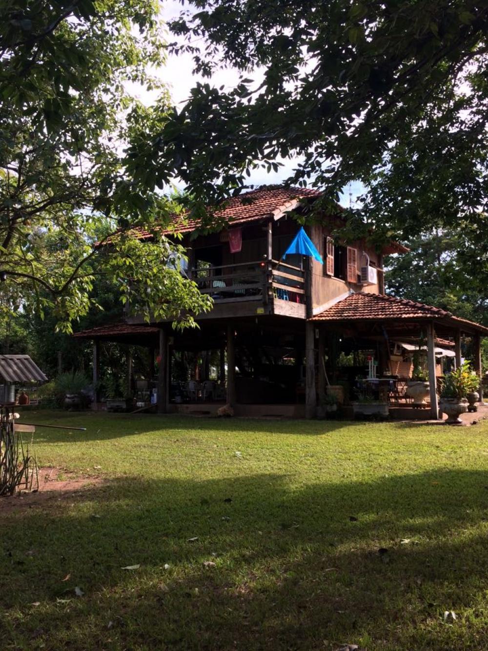 Sítio, 3 quartos, 5 hectares - Foto 9