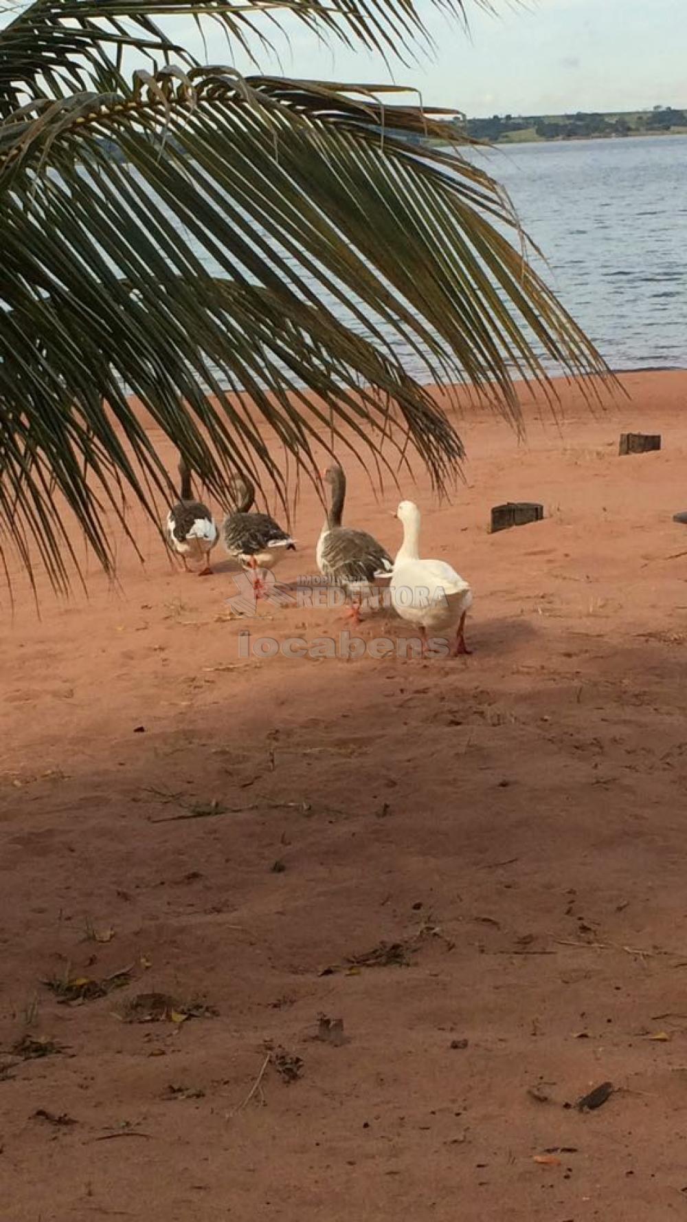 Sítio, 3 quartos, 5 hectares - Foto 14