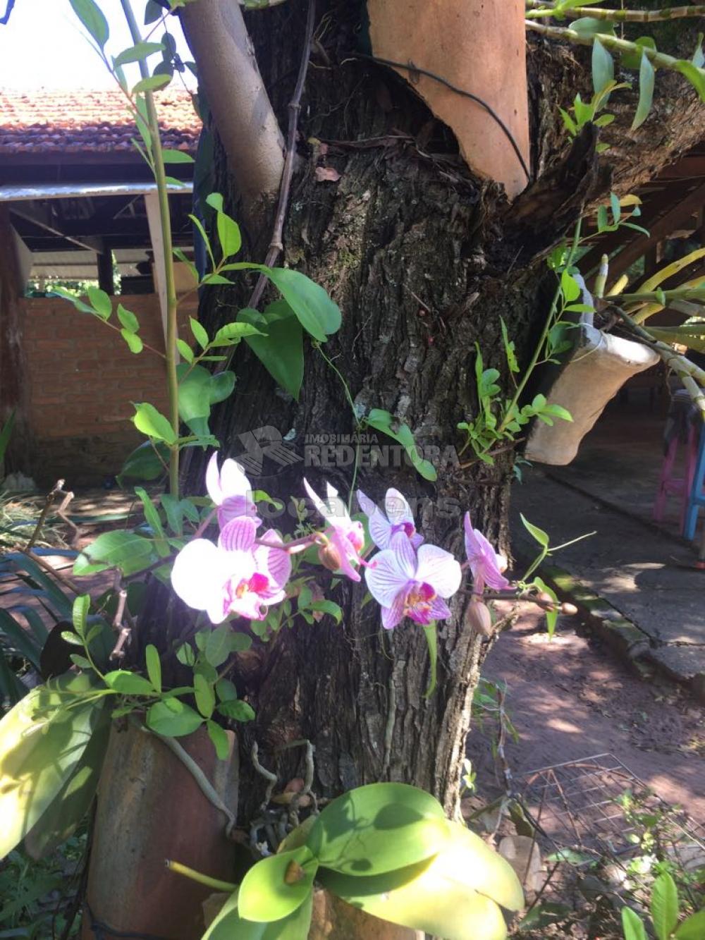 Sítio, 3 quartos, 5 hectares - Foto 13