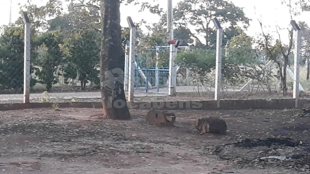 Fazenda-Sítio-Chácara, 2 hectares - Foto 23