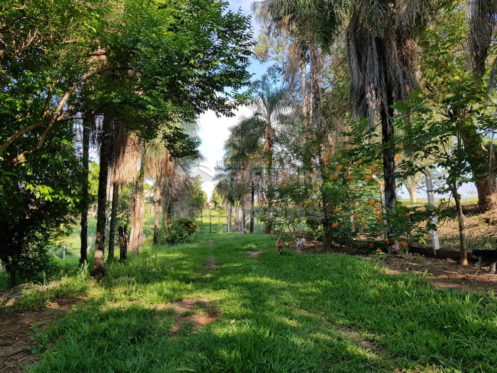 Sítio, 5 quartos, 4 hectares - Foto 30