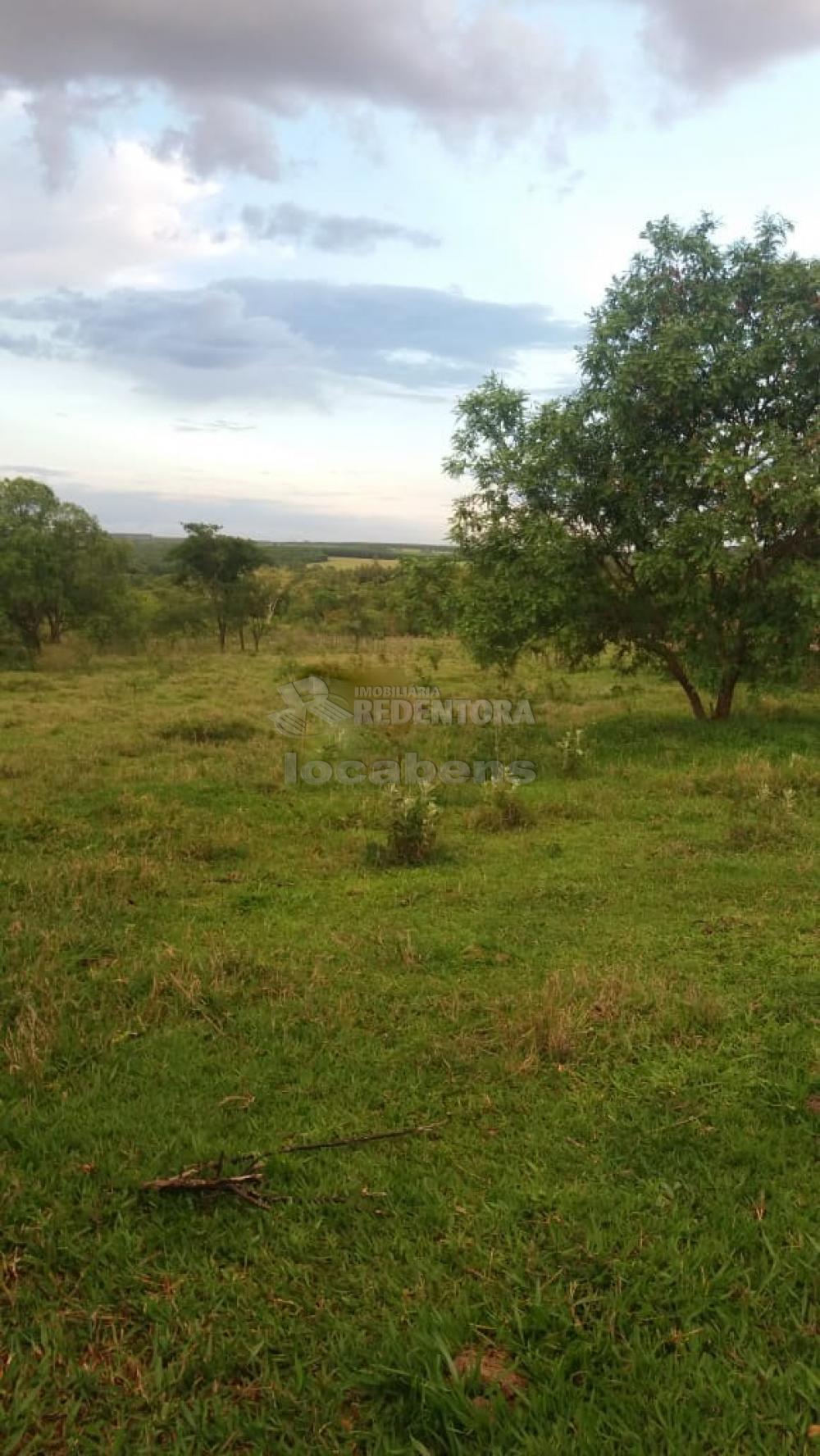 Fazenda-Sítio-Chácara, 2 hectares - Foto 3