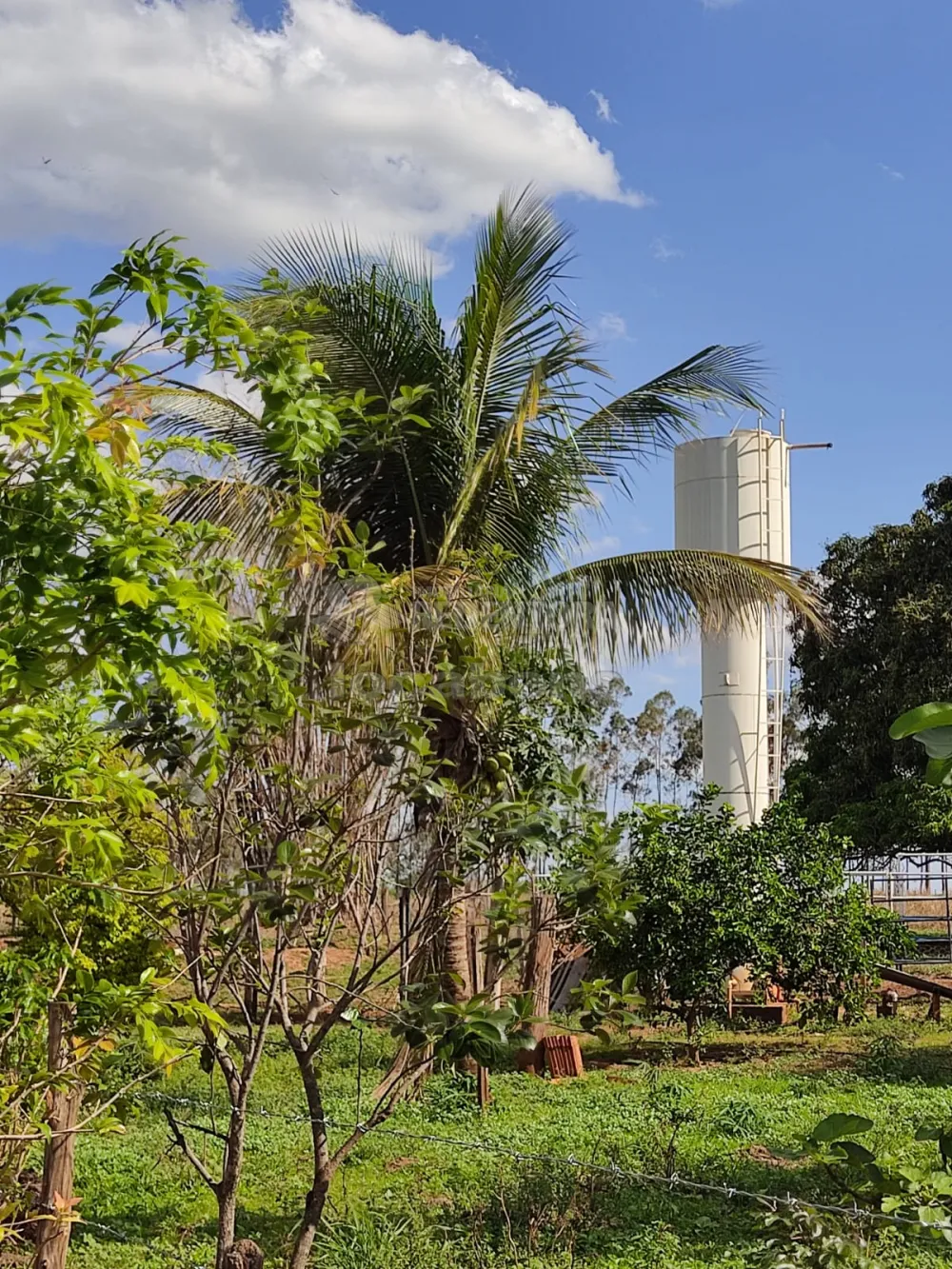 Fazenda-Sítio-Chácara, 6 hectares - Foto 1