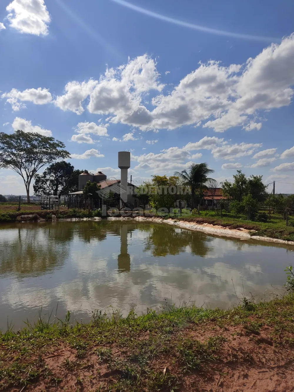 Fazenda-Sítio-Chácara, 6 hectares - Foto 3
