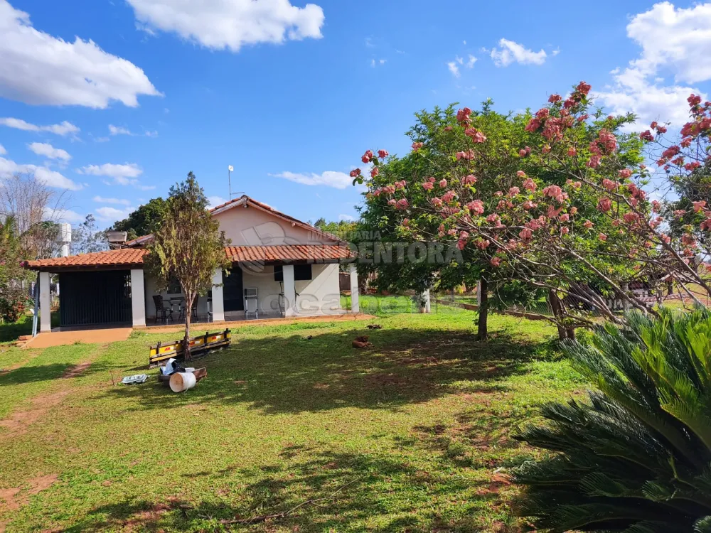 Fazenda-Sítio-Chácara, 6 hectares - Foto 4