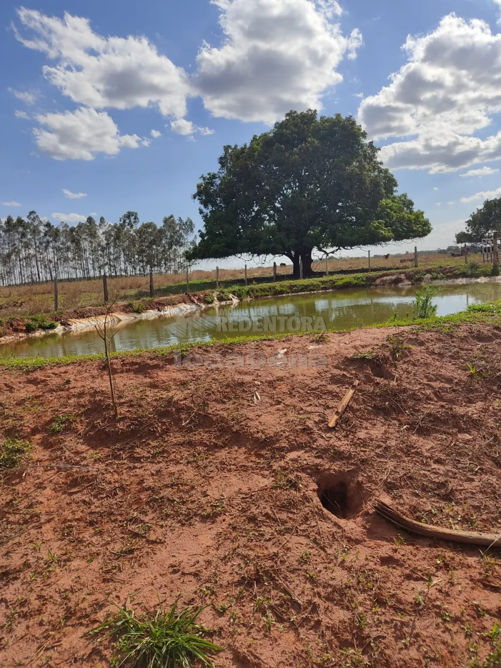 Sítio, 6 hectares - Foto 8