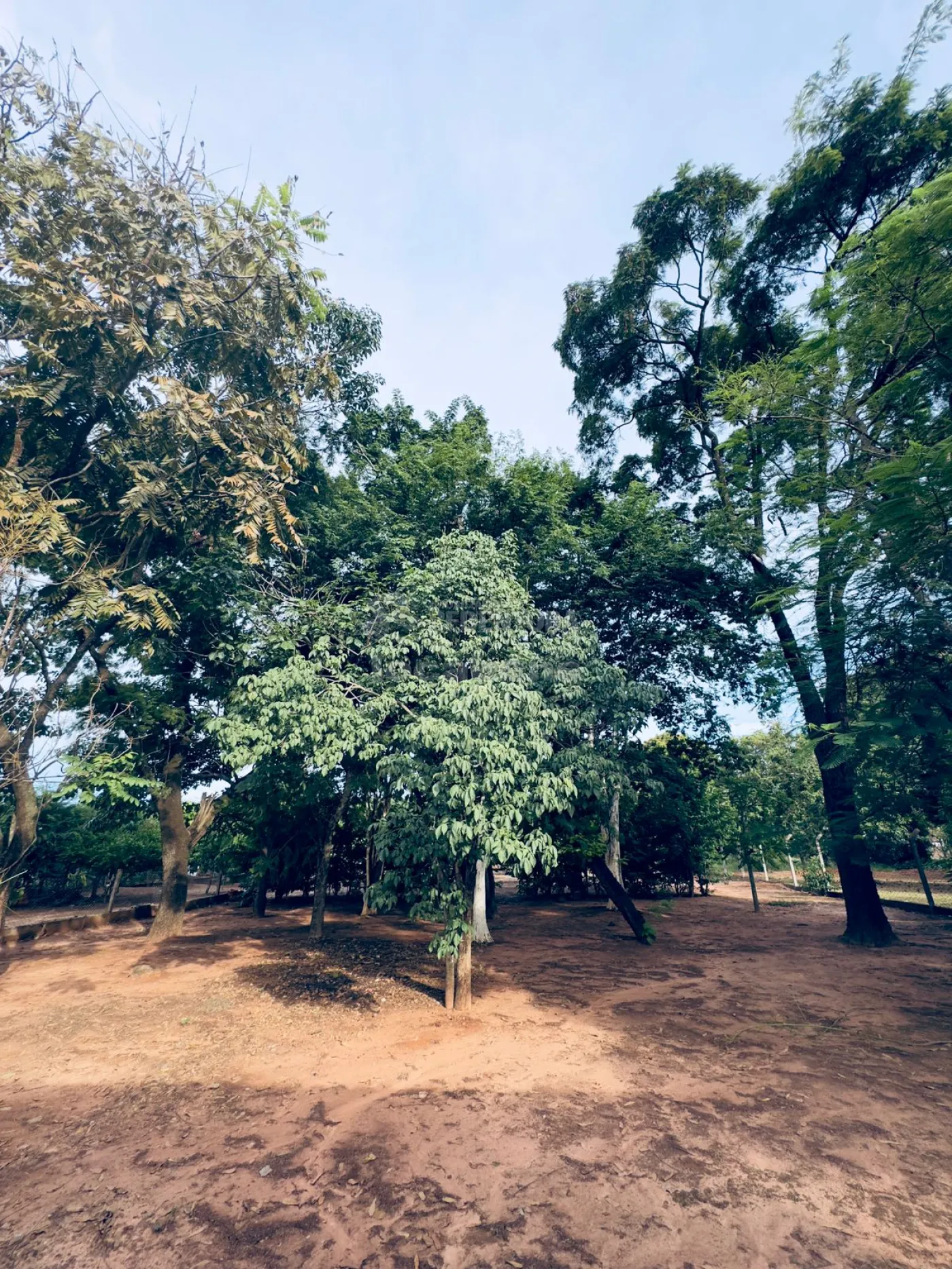 Chácara, 4 quartos, 4000 m² - Foto 19