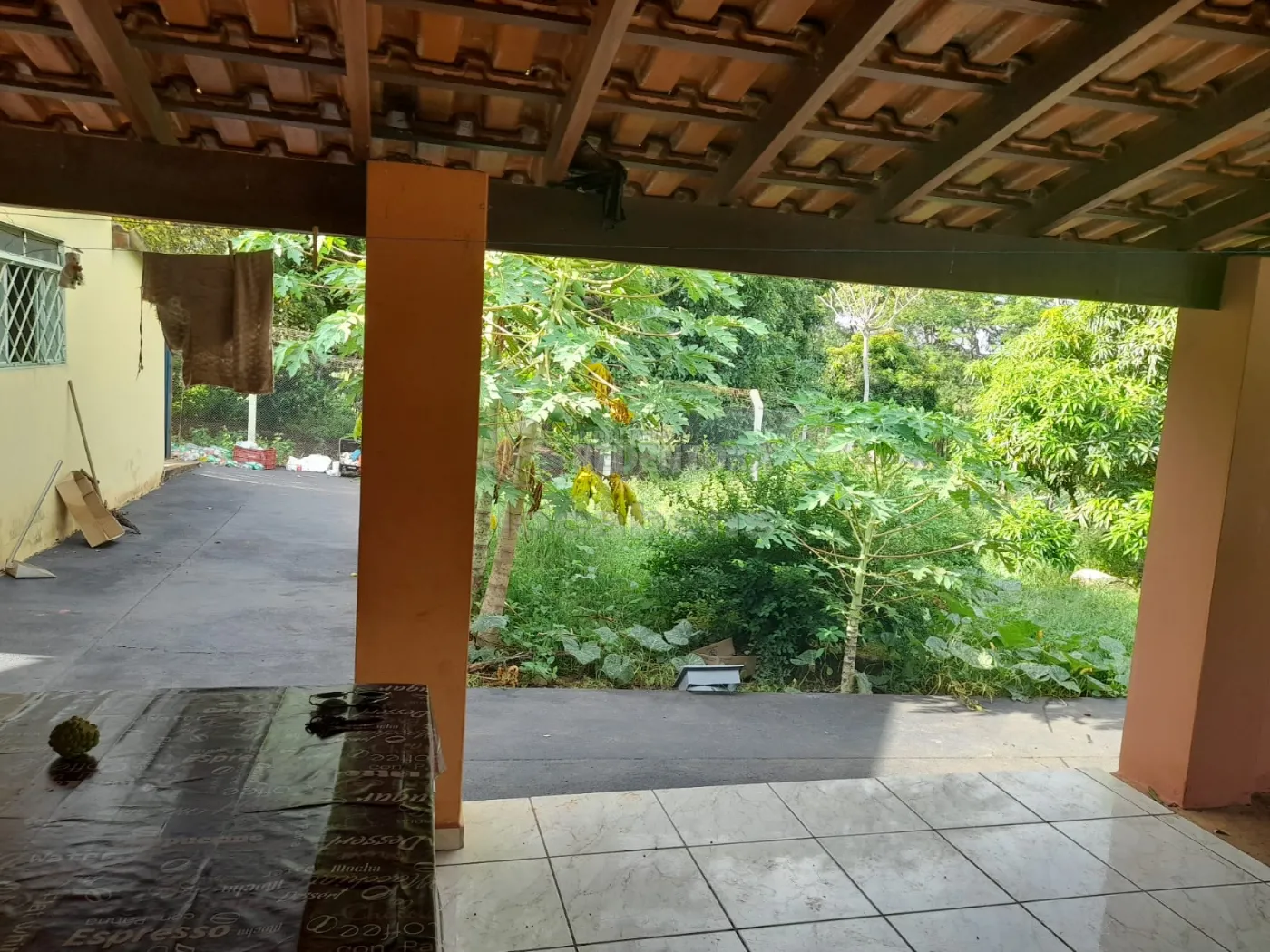 Sítio, 2 quartos, 5 hectares - Foto 4