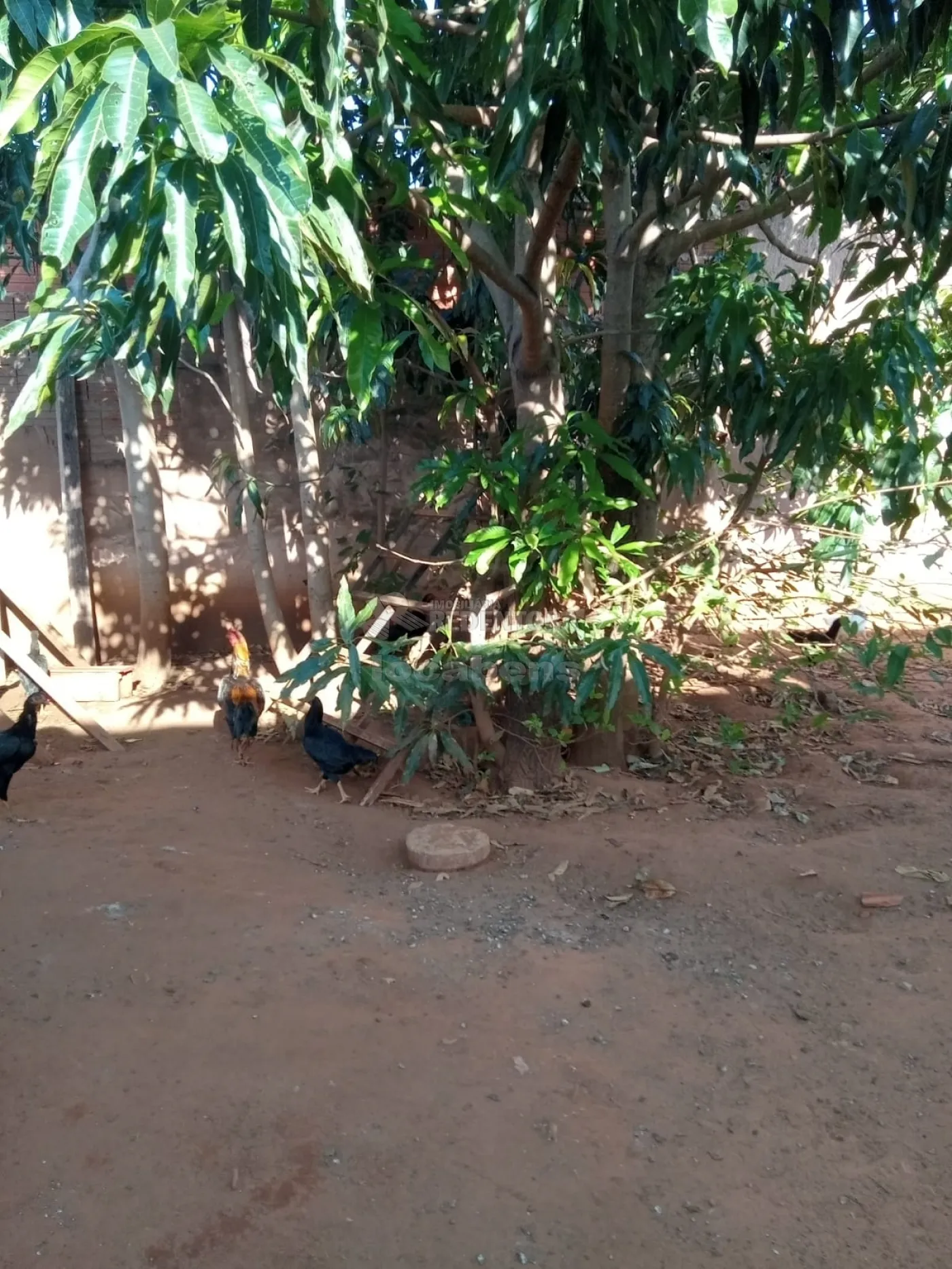 Casa, 1 quarto, 49 m² - Foto 4