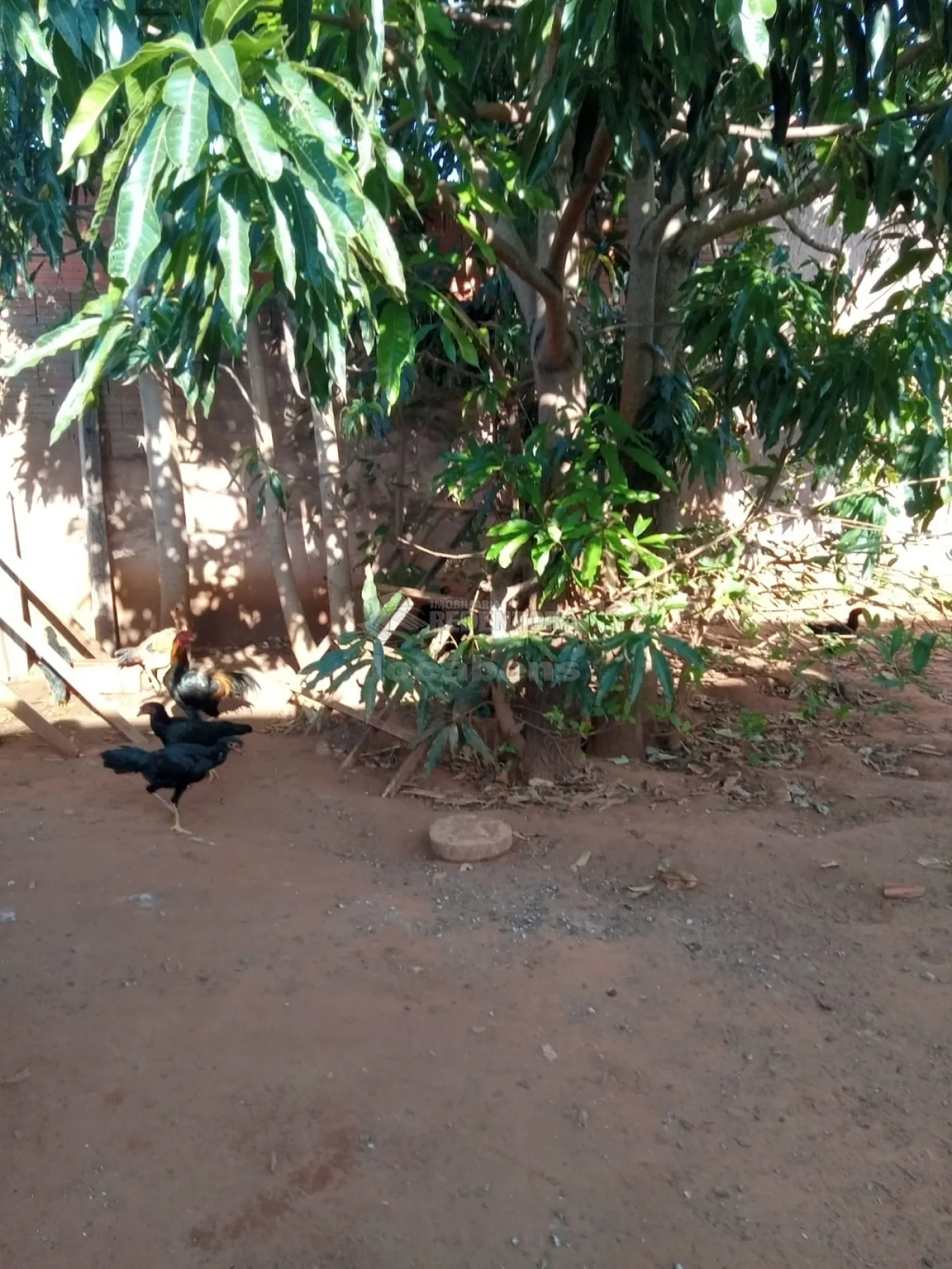 Casa, 1 quarto, 49 m² - Foto 5