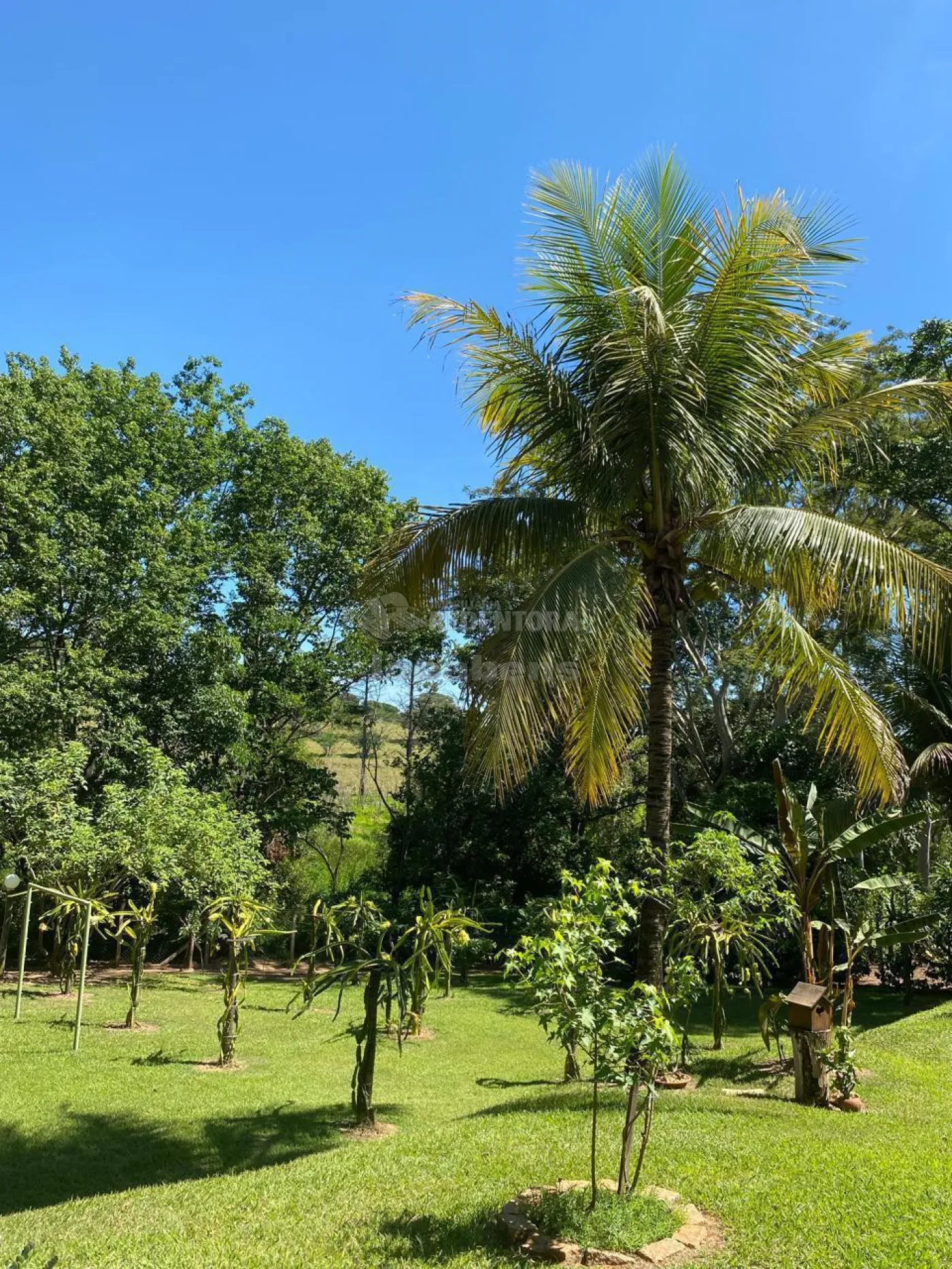 Chácara, 4 quartos, 5200 m² - Foto 7