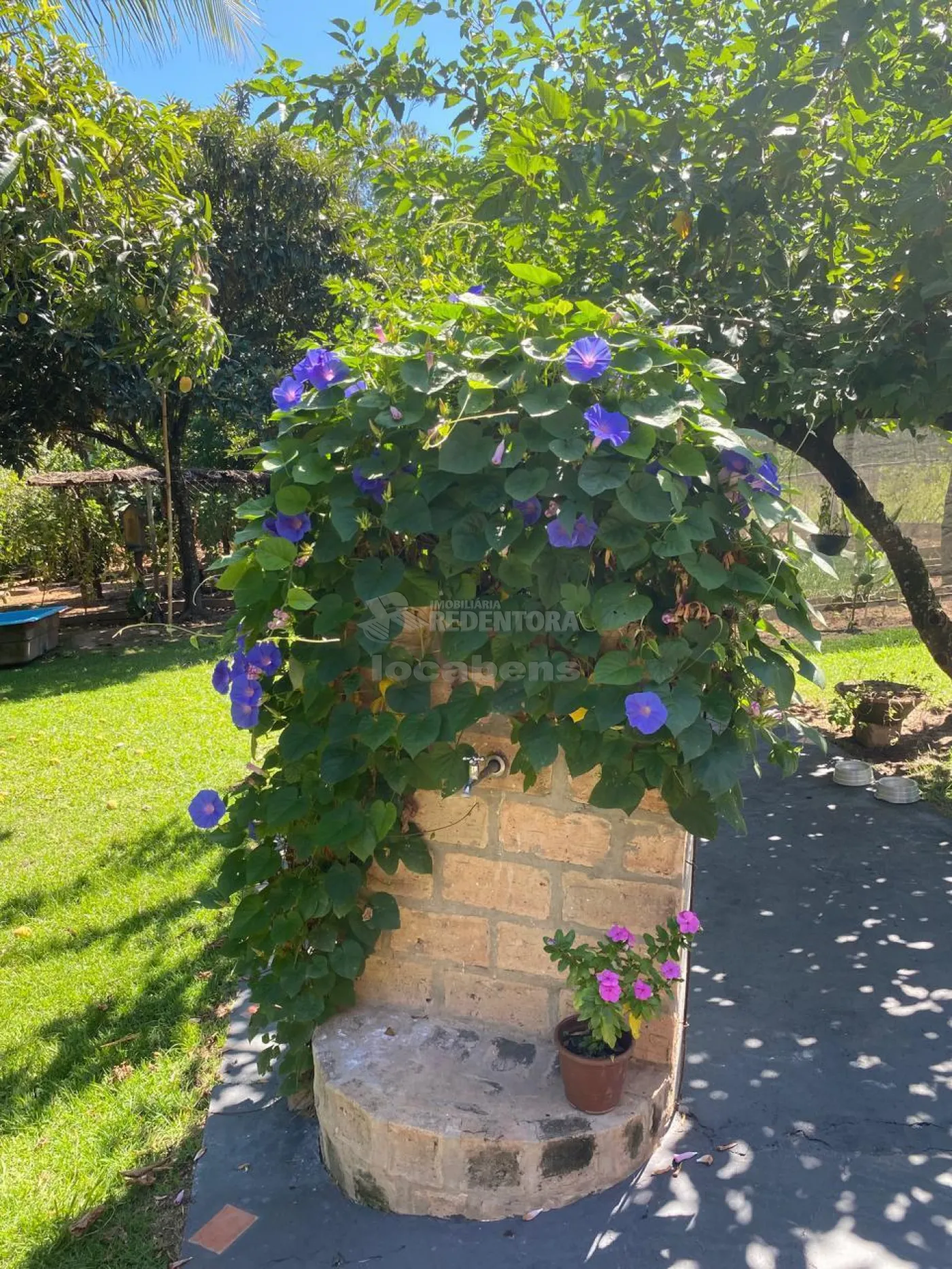 Chácara, 4 quartos, 5200 m² - Foto 11