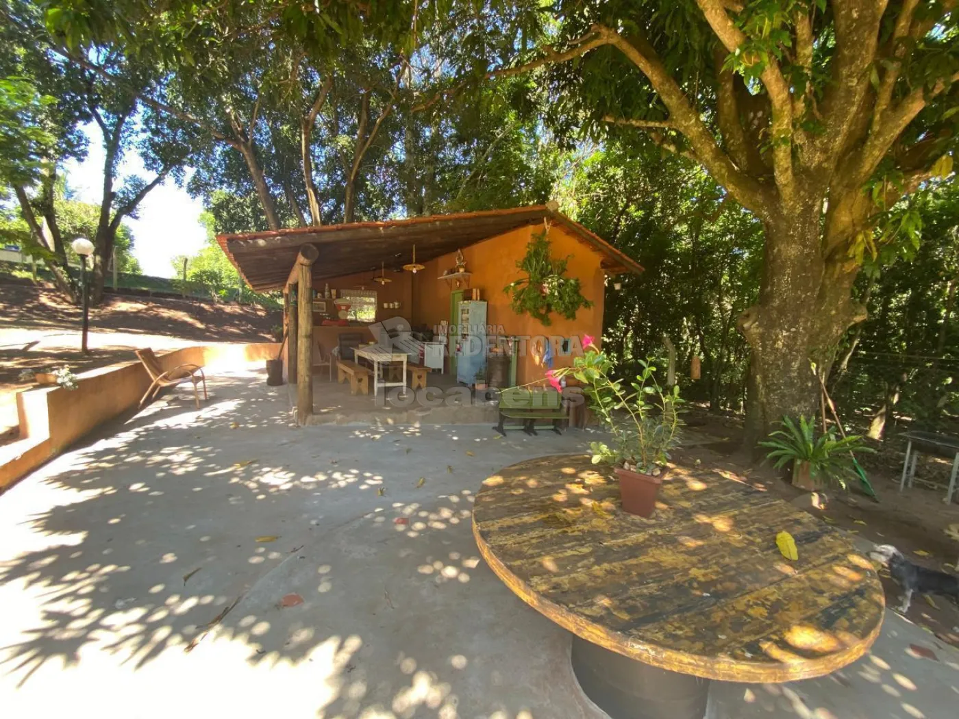 Chácara, 4 quartos, 5200 m² - Foto 9