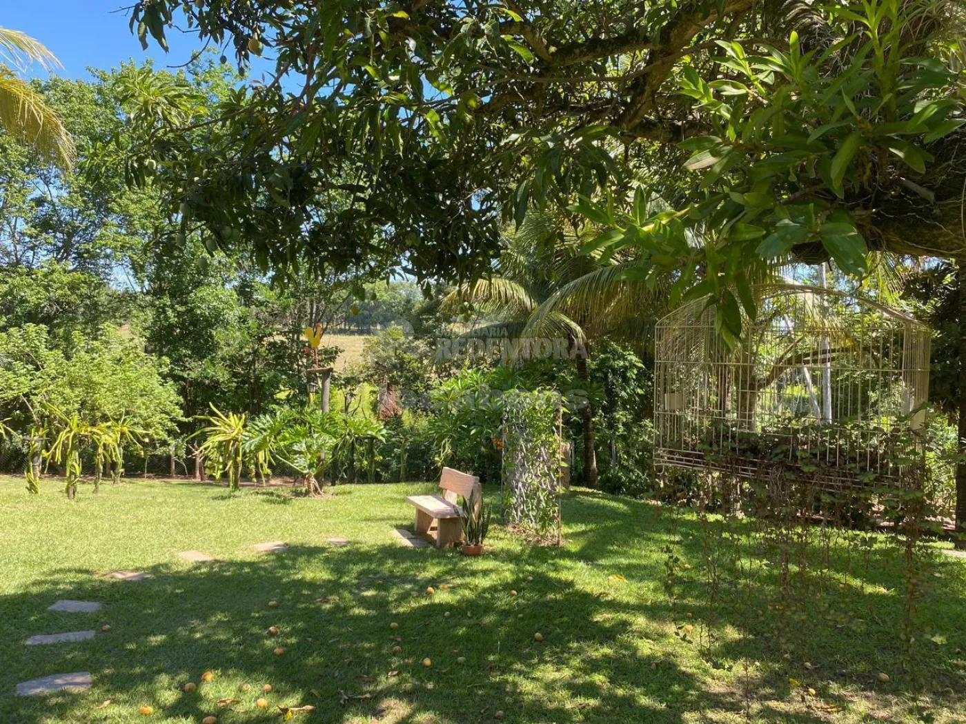 Chácara, 4 quartos, 5200 m² - Foto 8