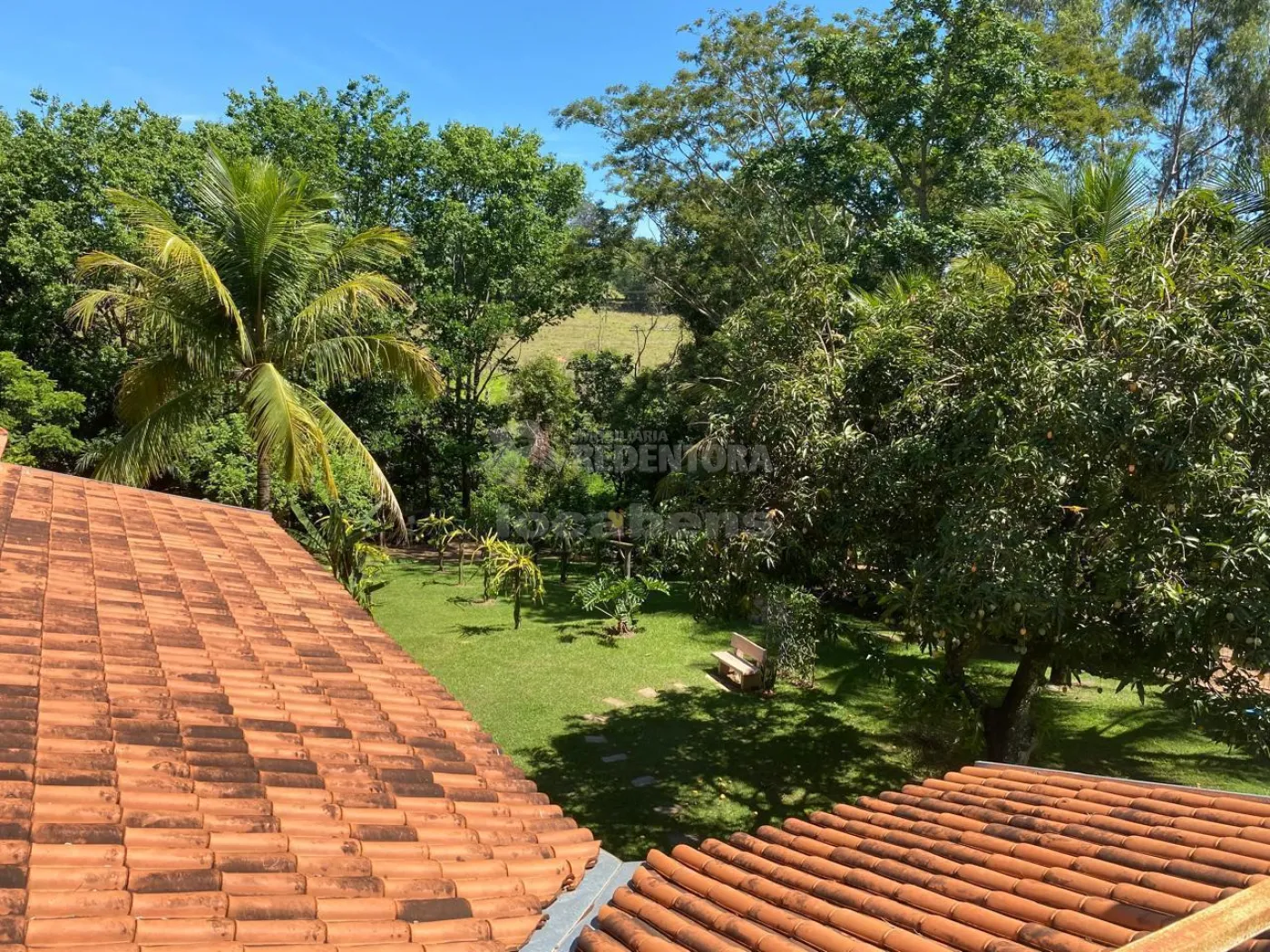 Chácara, 4 quartos, 5200 m² - Foto 10