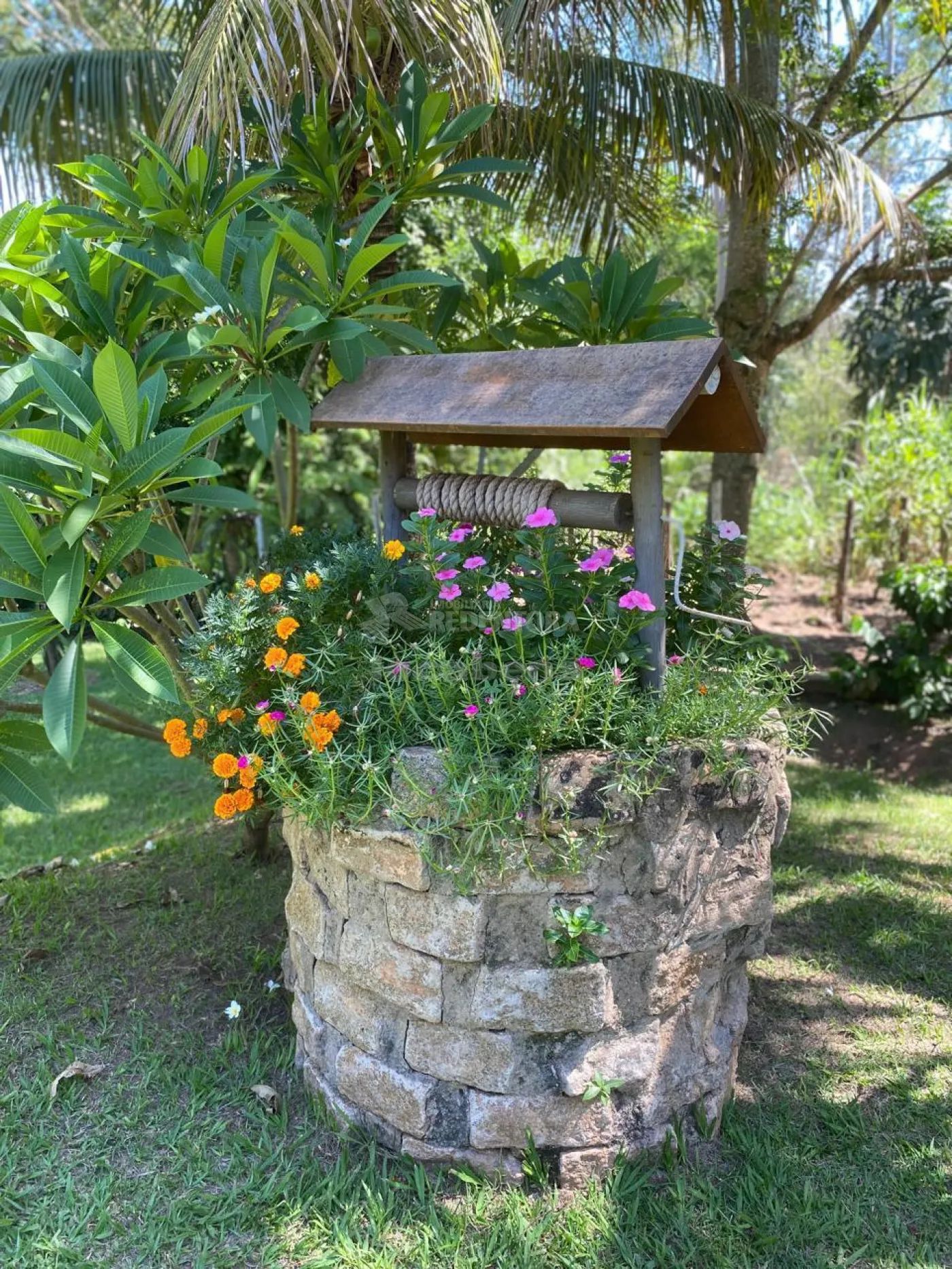 Chácara, 4 quartos, 5200 m² - Foto 26