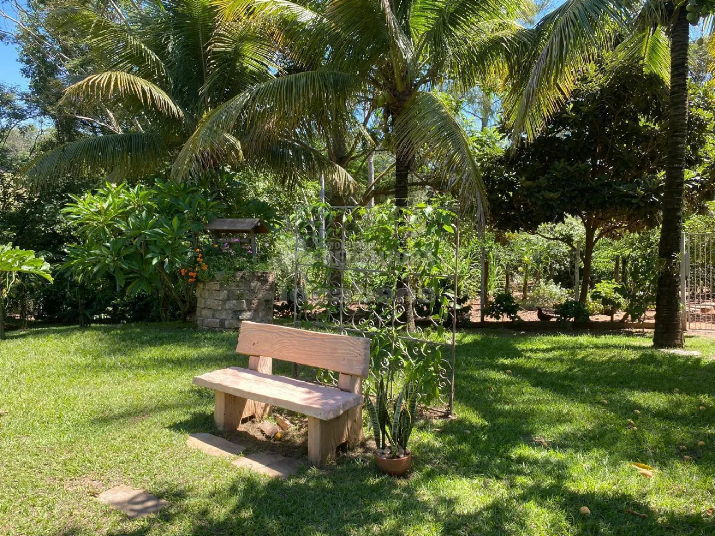 Chácara, 4 quartos, 5200 m² - Foto 27