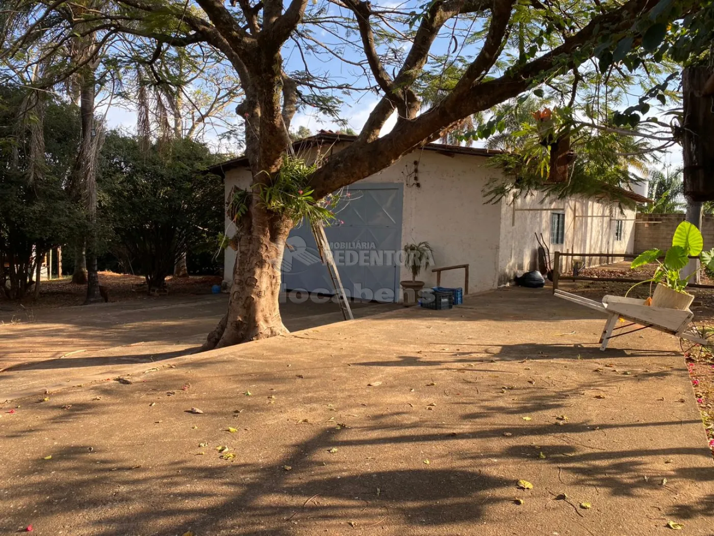 Sítio, 6 quartos, 2 hectares - Foto 4