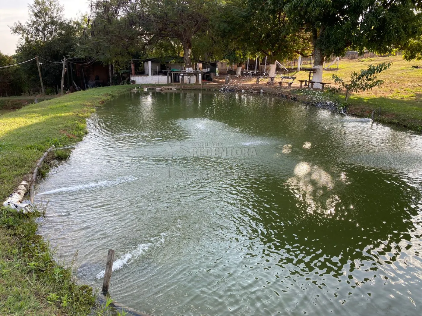 Sítio, 6 quartos, 2 hectares - Foto 7