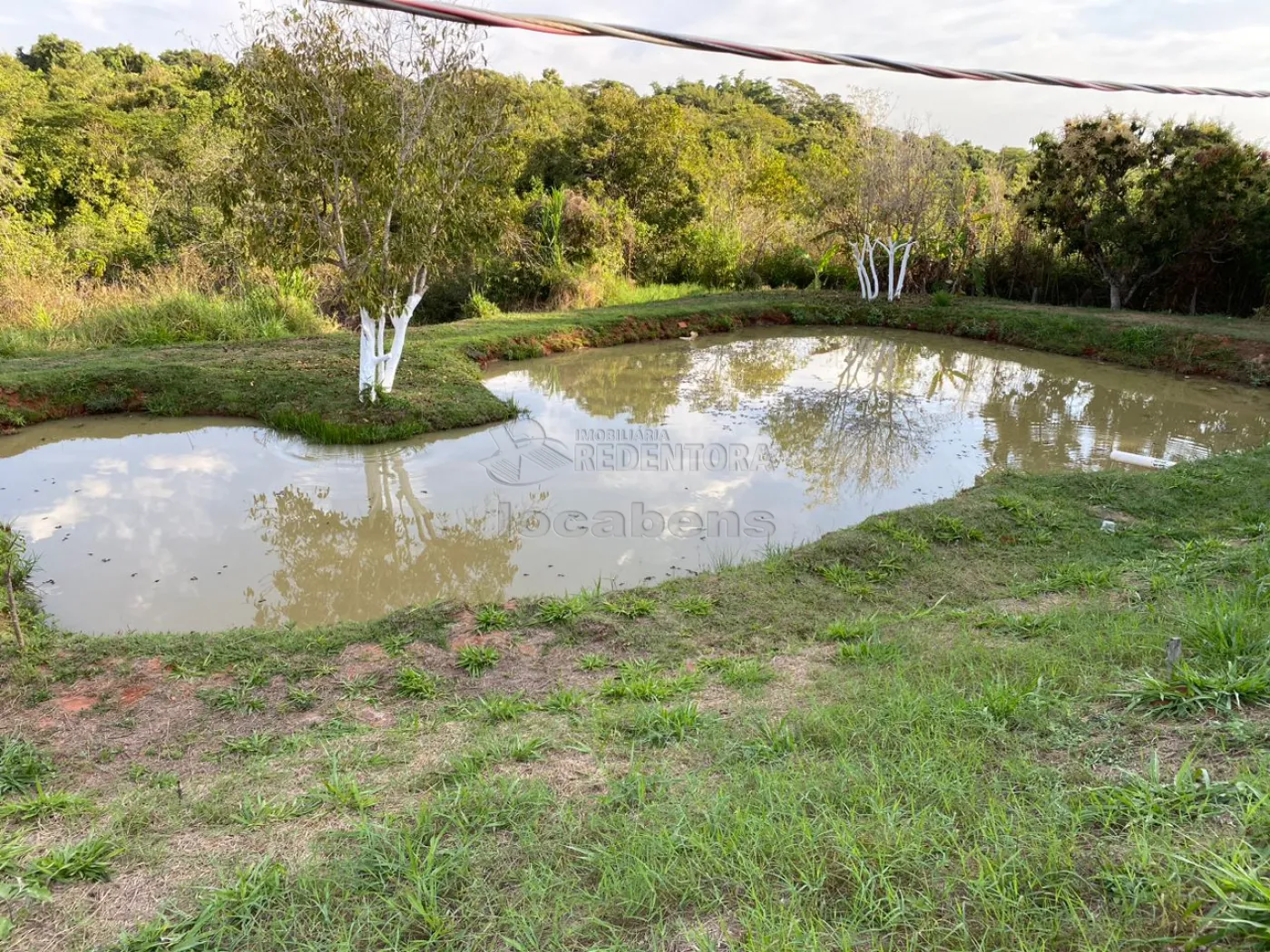 Sítio, 6 quartos, 2 hectares - Foto 8