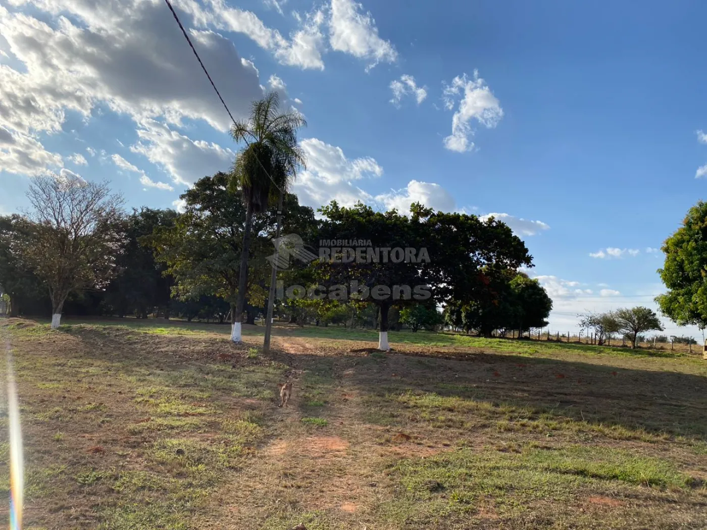 Sítio, 6 quartos, 2 hectares - Foto 14