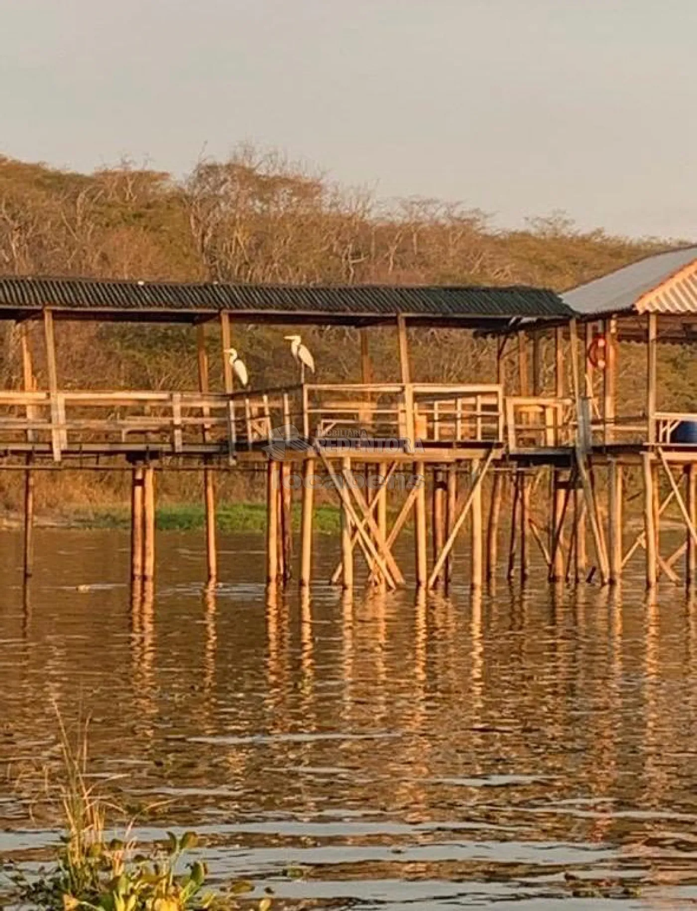 Chácara, 2 quartos, 400 m² - Foto 20