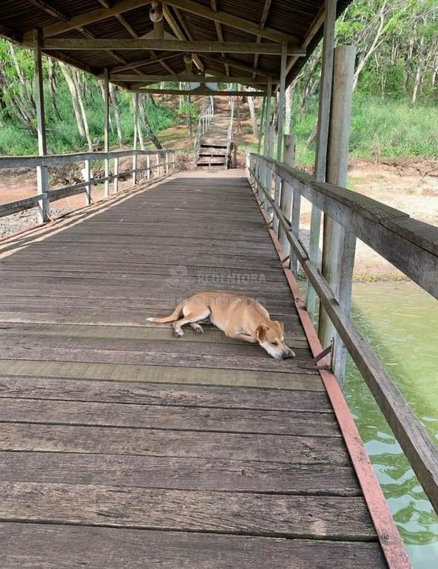 Chácara, 2 quartos, 400 m² - Foto 22