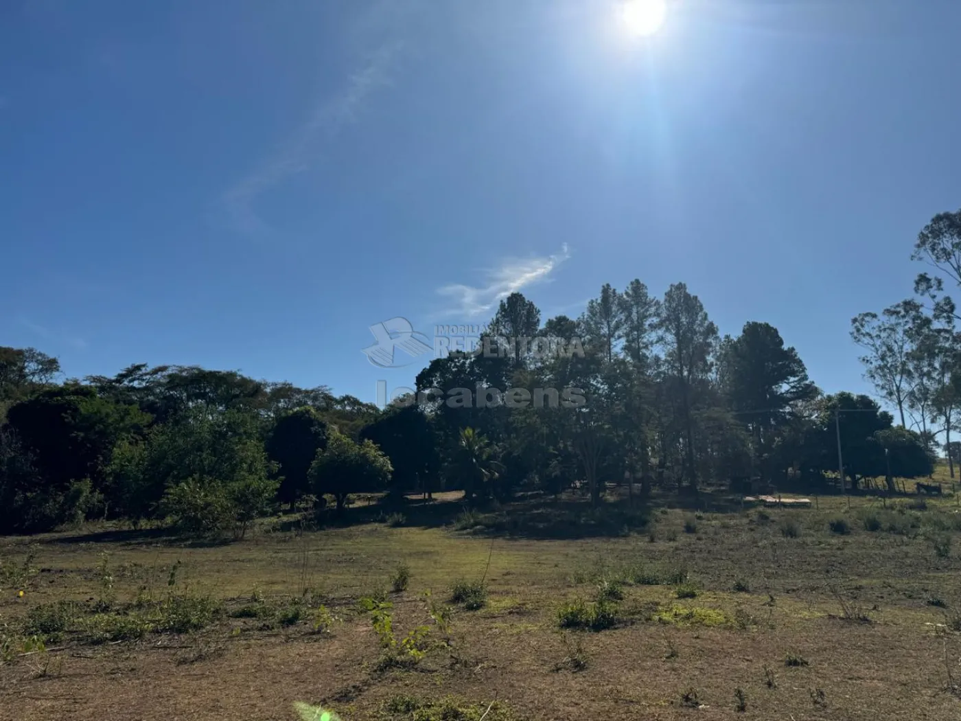 Chácara, 4 hectares - Foto 10