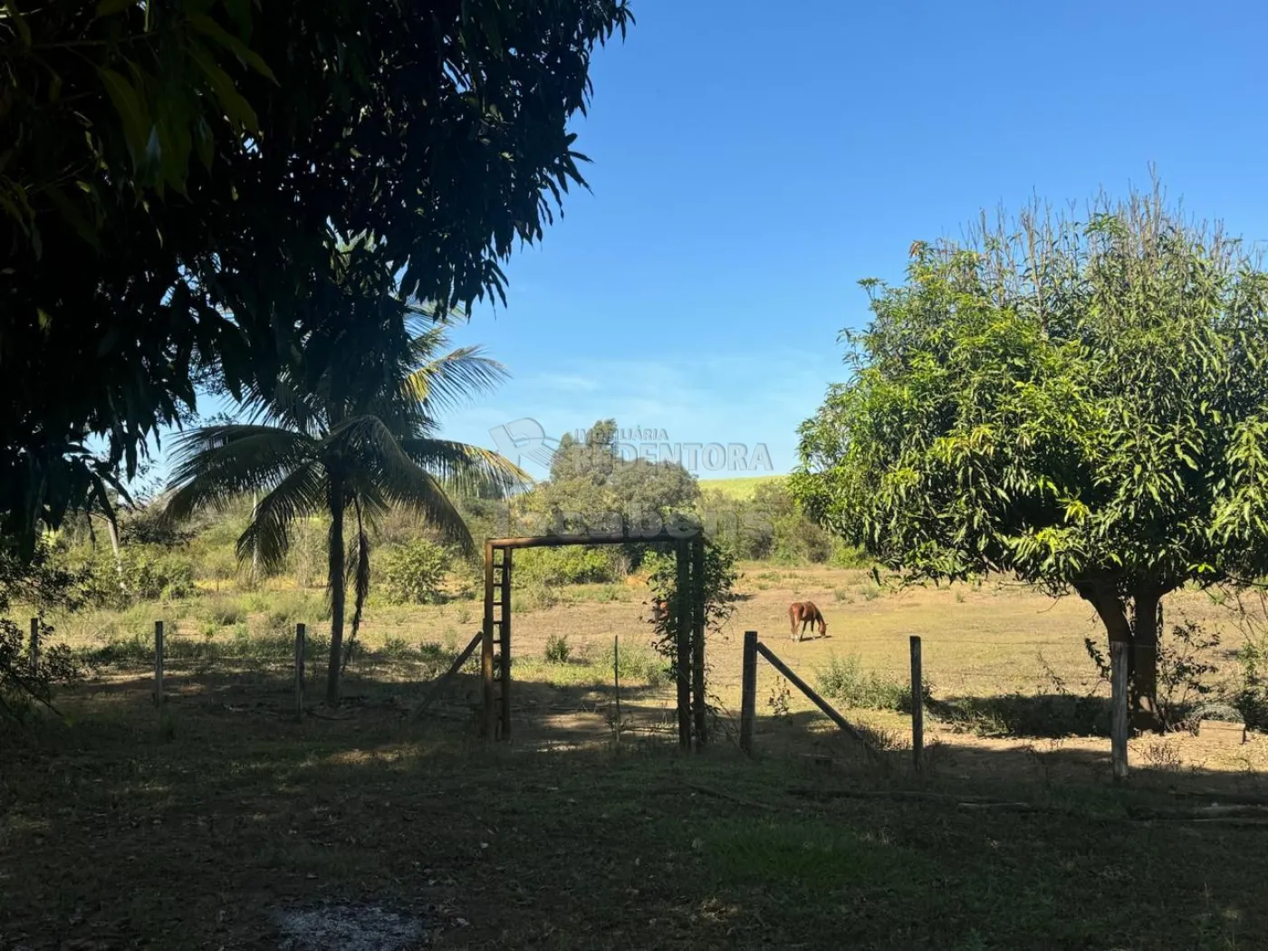 Chácara, 4 hectares - Foto 38