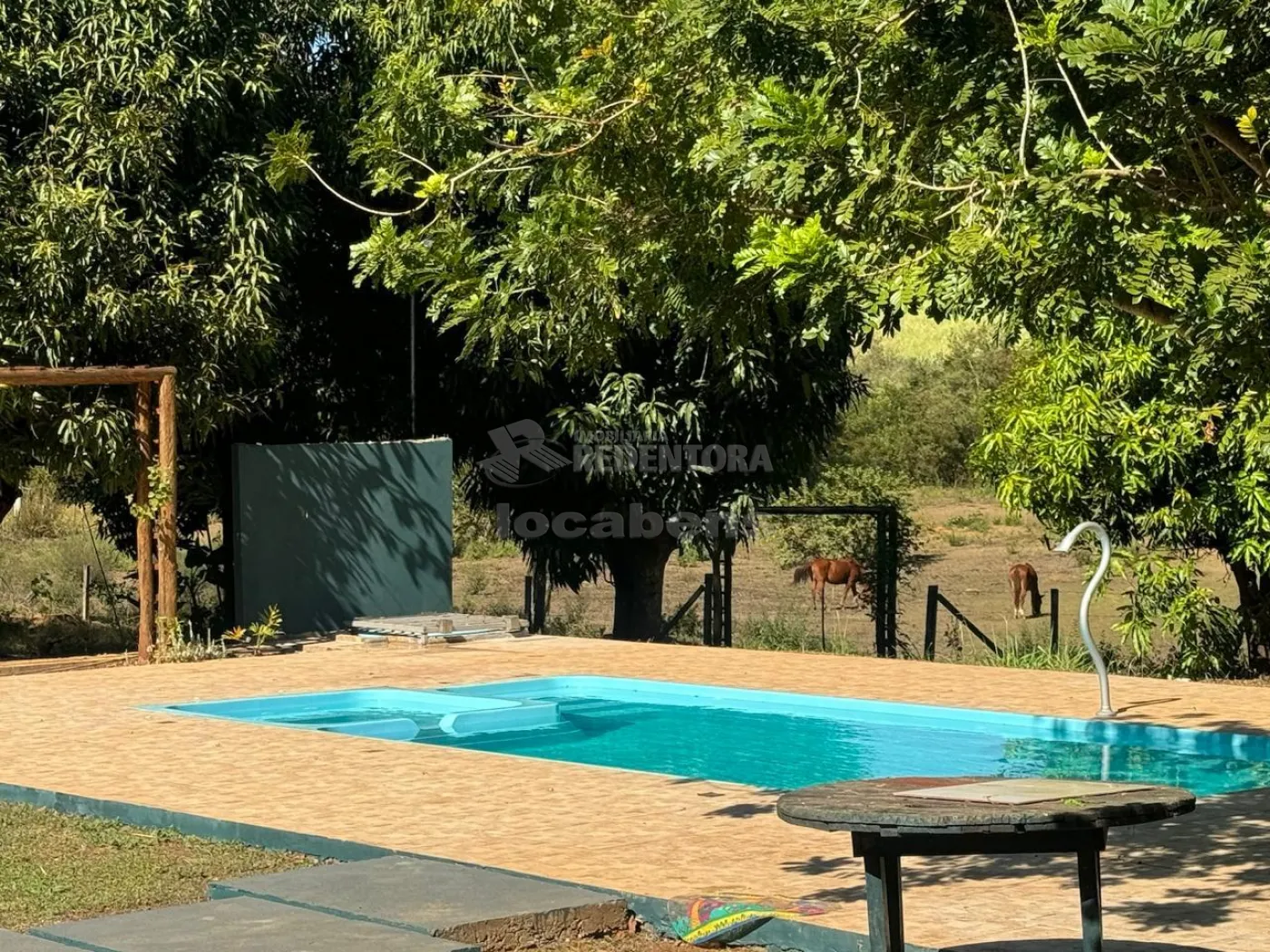 Chácara, 4 hectares - Foto 43