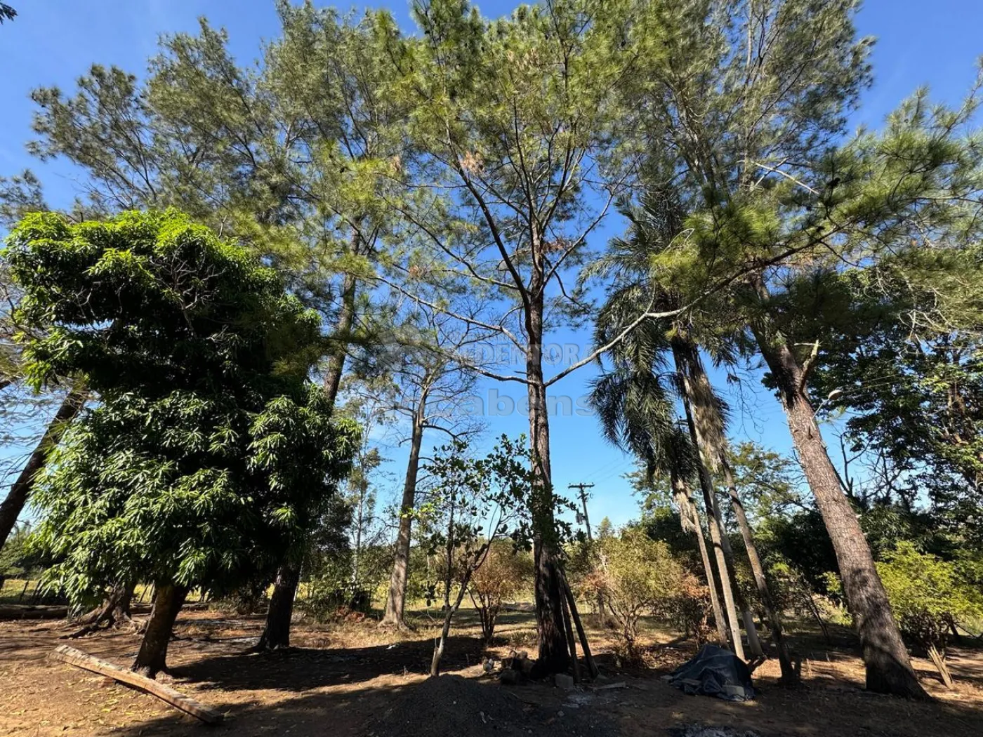 Chácara, 4 hectares - Foto 46