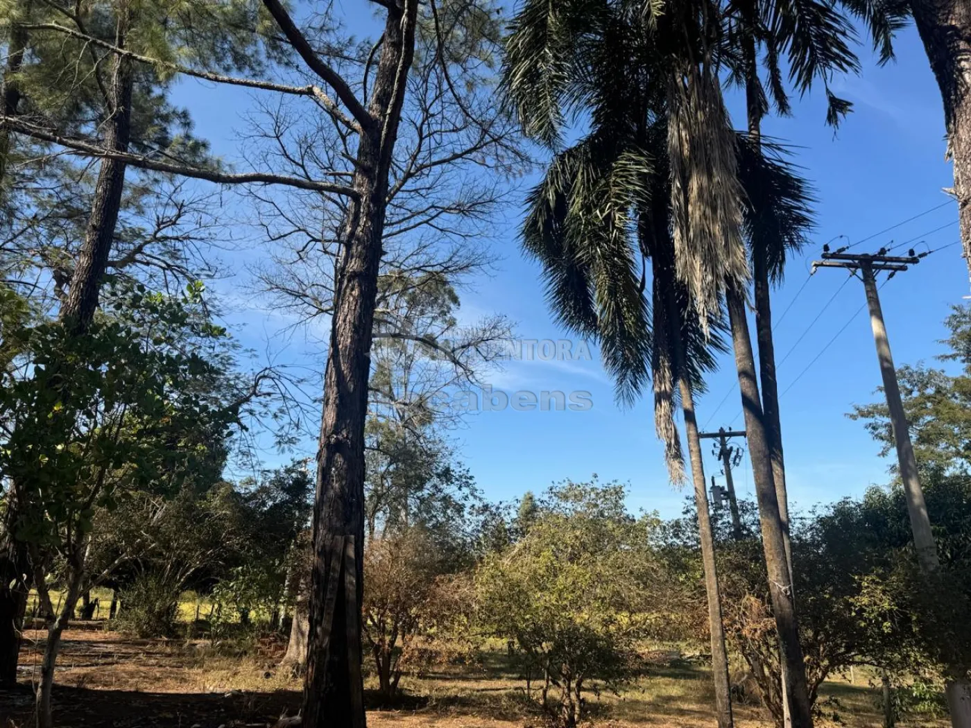 Chácara, 4 hectares - Foto 49