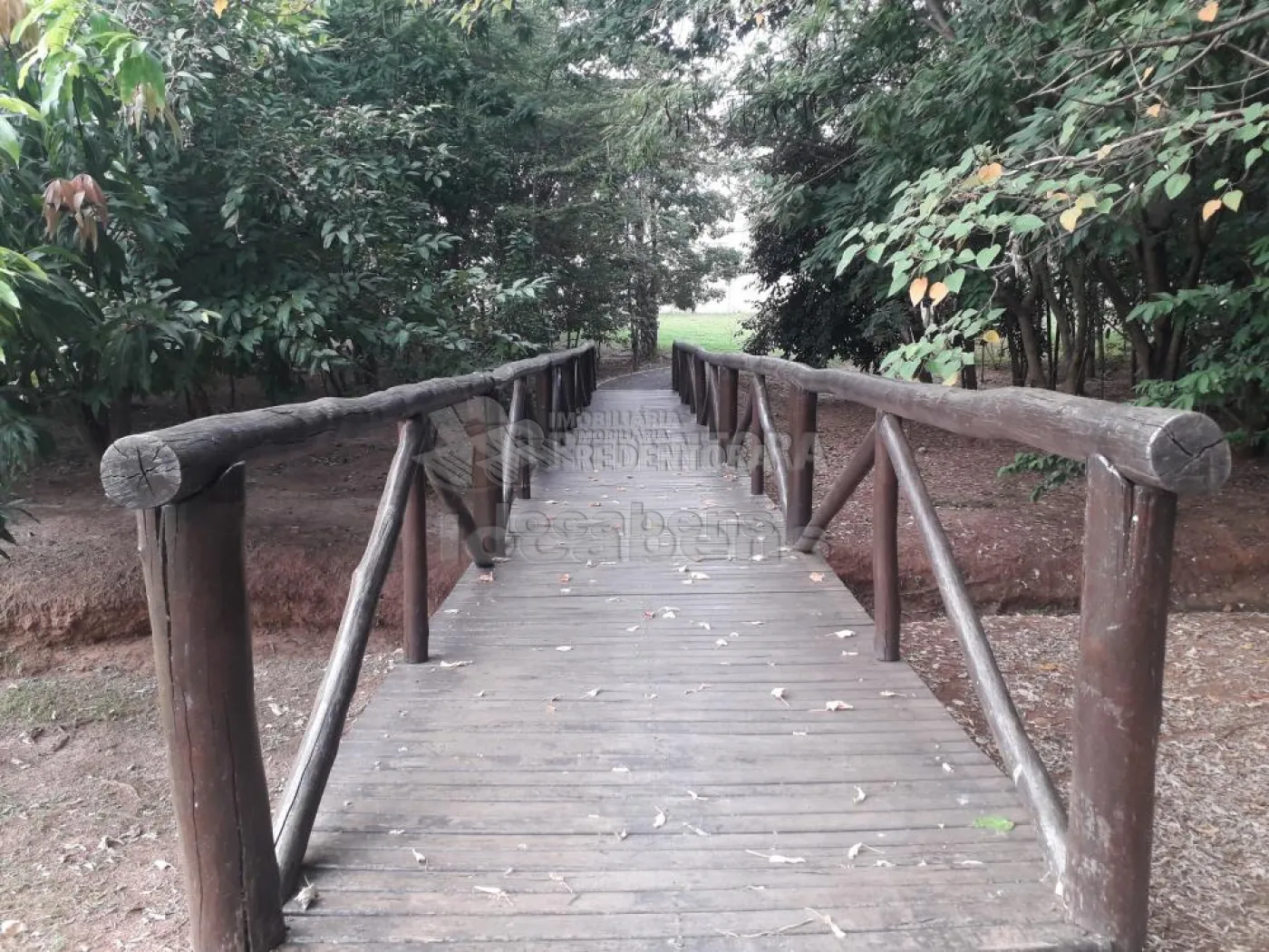 Terreno, 286 m² - Foto 3