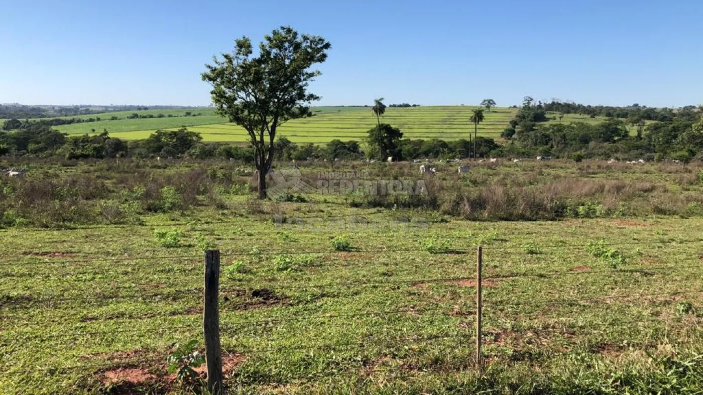 Fazenda-Sítio-Chácara, 56 hectares - Foto 4