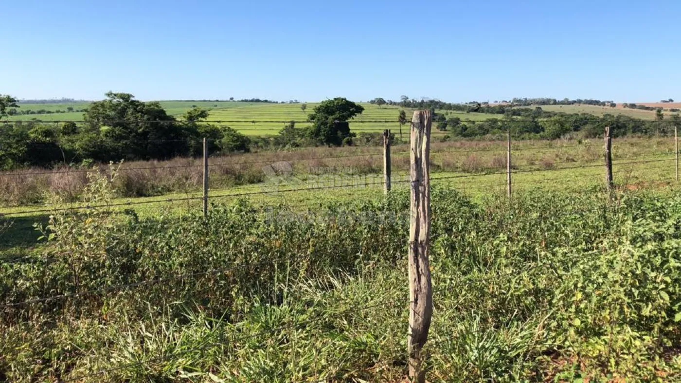 Fazenda-Sítio-Chácara, 56 hectares - Foto 5