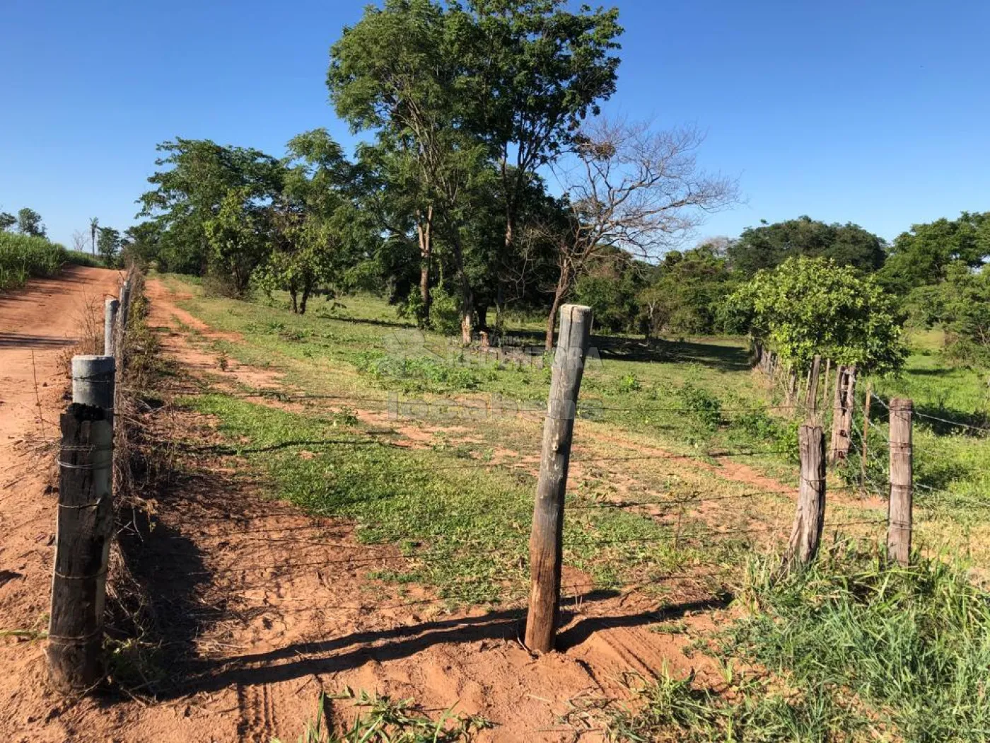 Fazenda-Sítio-Chácara, 56 hectares - Foto 6