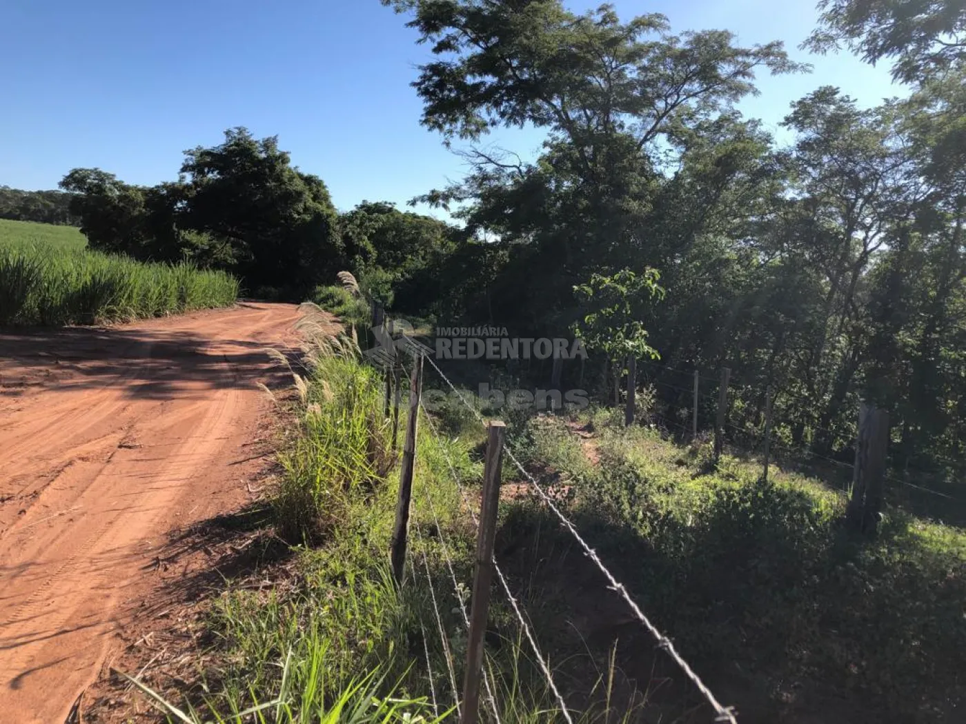 Fazenda-Sítio-Chácara, 56 hectares - Foto 7