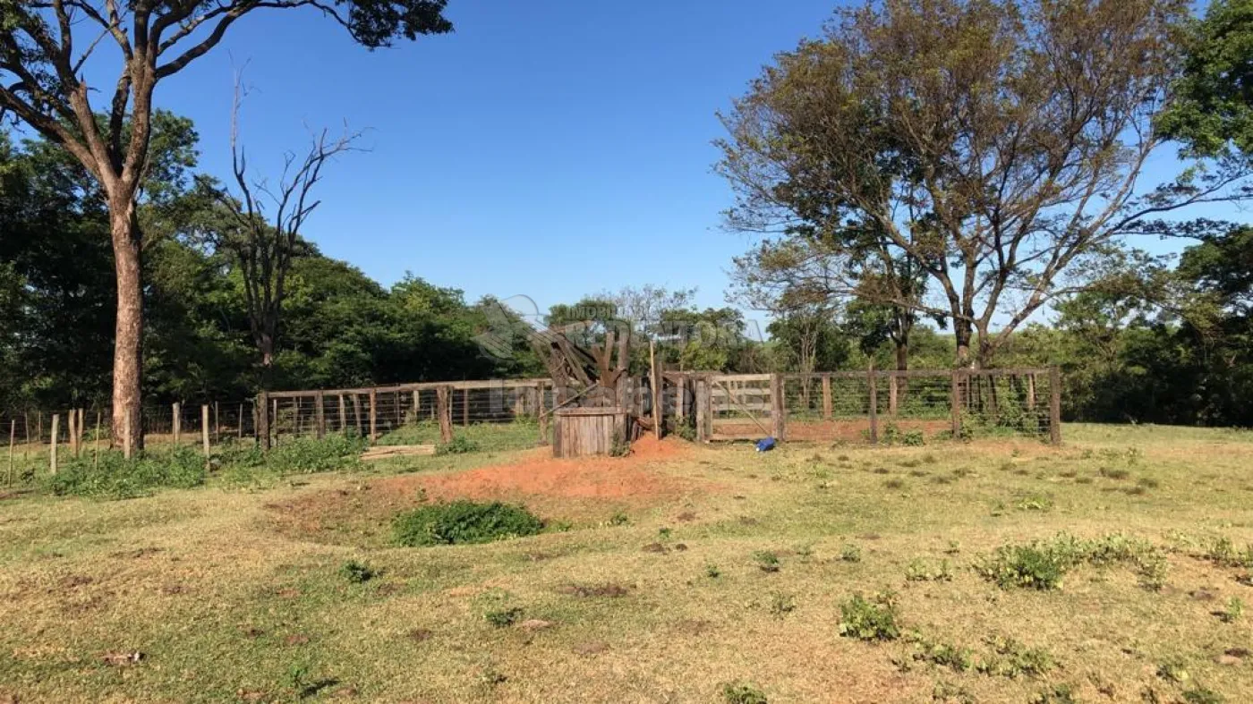 Fazenda-Sítio-Chácara, 56 hectares - Foto 9