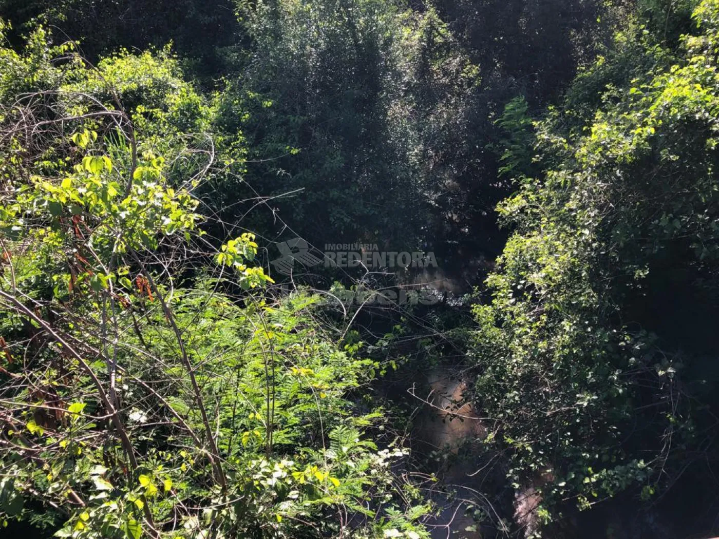 Fazenda-Sítio-Chácara, 56 hectares - Foto 11