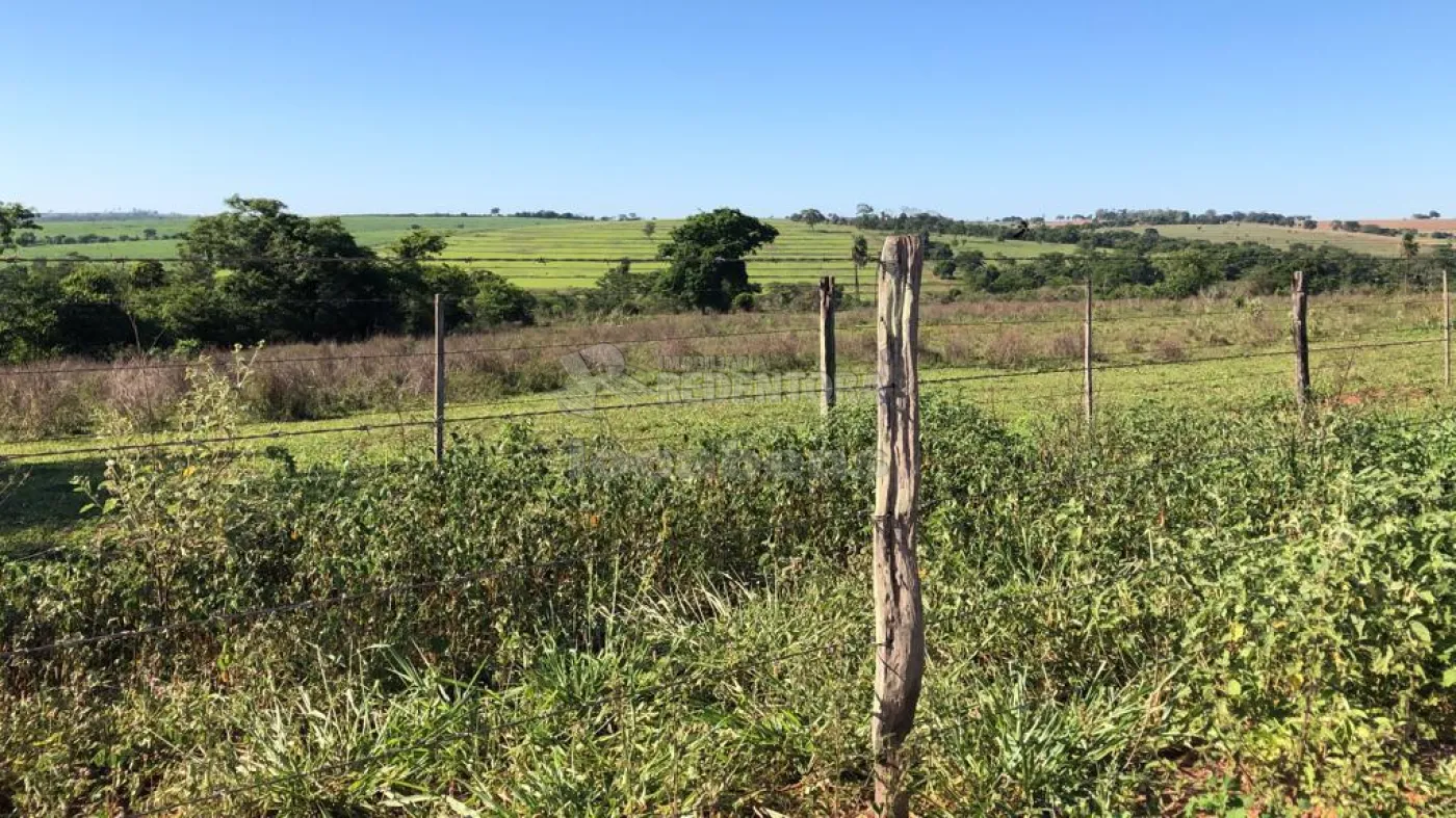 Fazenda-Sítio-Chácara, 56 hectares - Foto 10