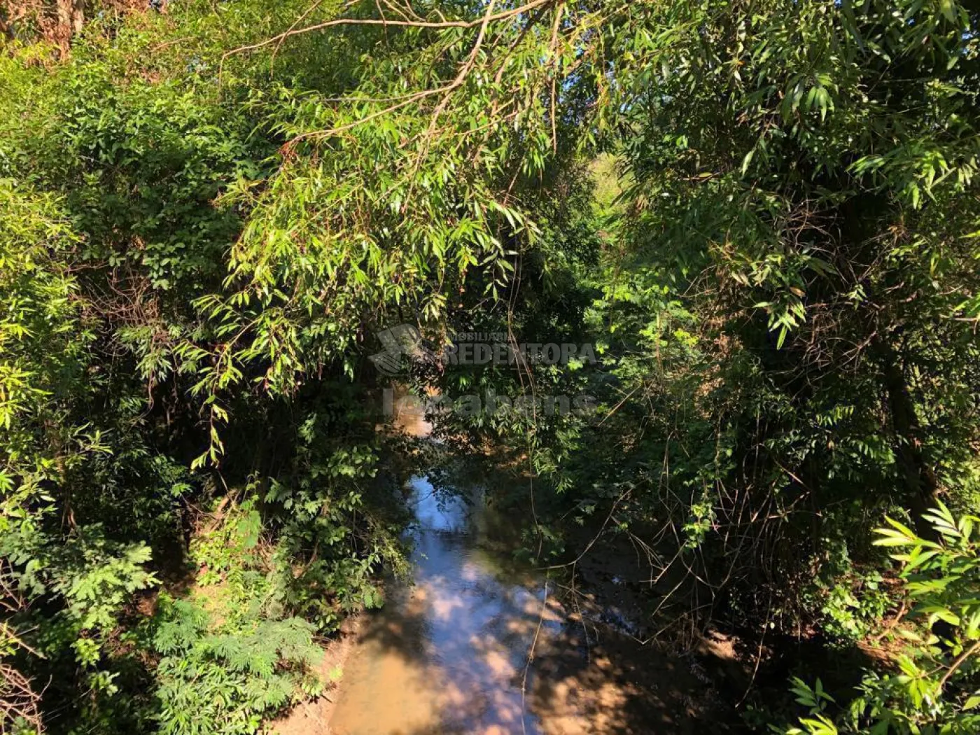 Fazenda-Sítio-Chácara, 56 hectares - Foto 12