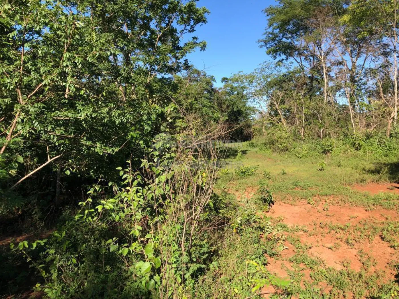 Fazenda-Sítio-Chácara, 56 hectares - Foto 14