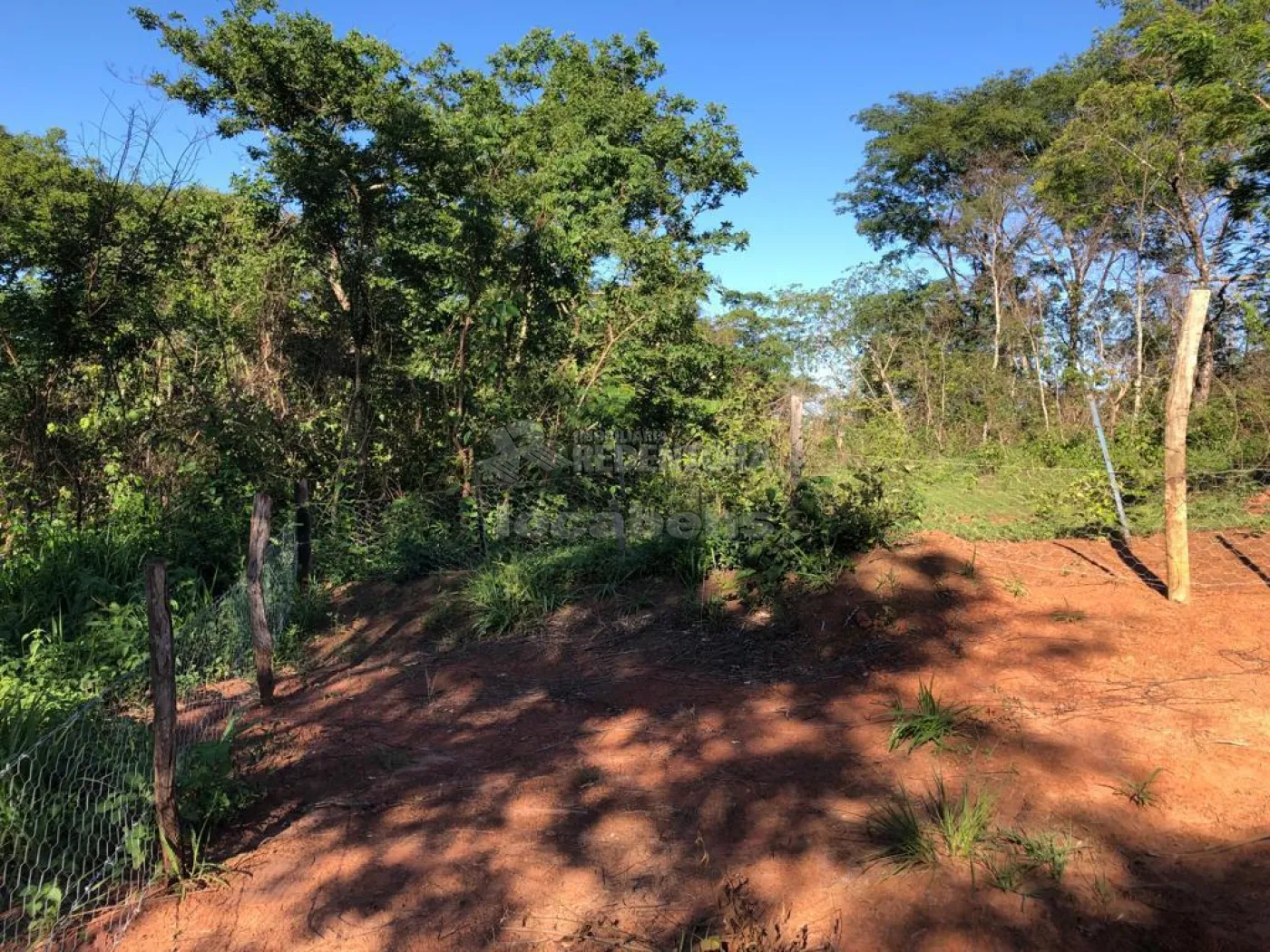Fazenda-Sítio-Chácara, 56 hectares - Foto 15