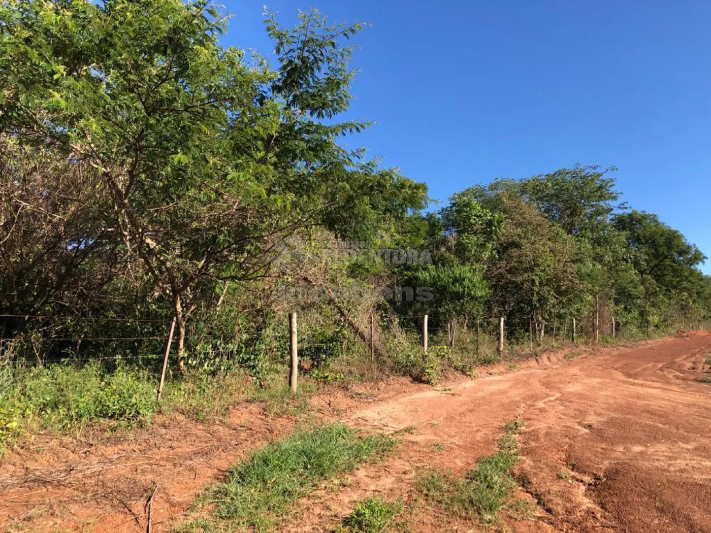 Fazenda-Sítio-Chácara, 56 hectares - Foto 16